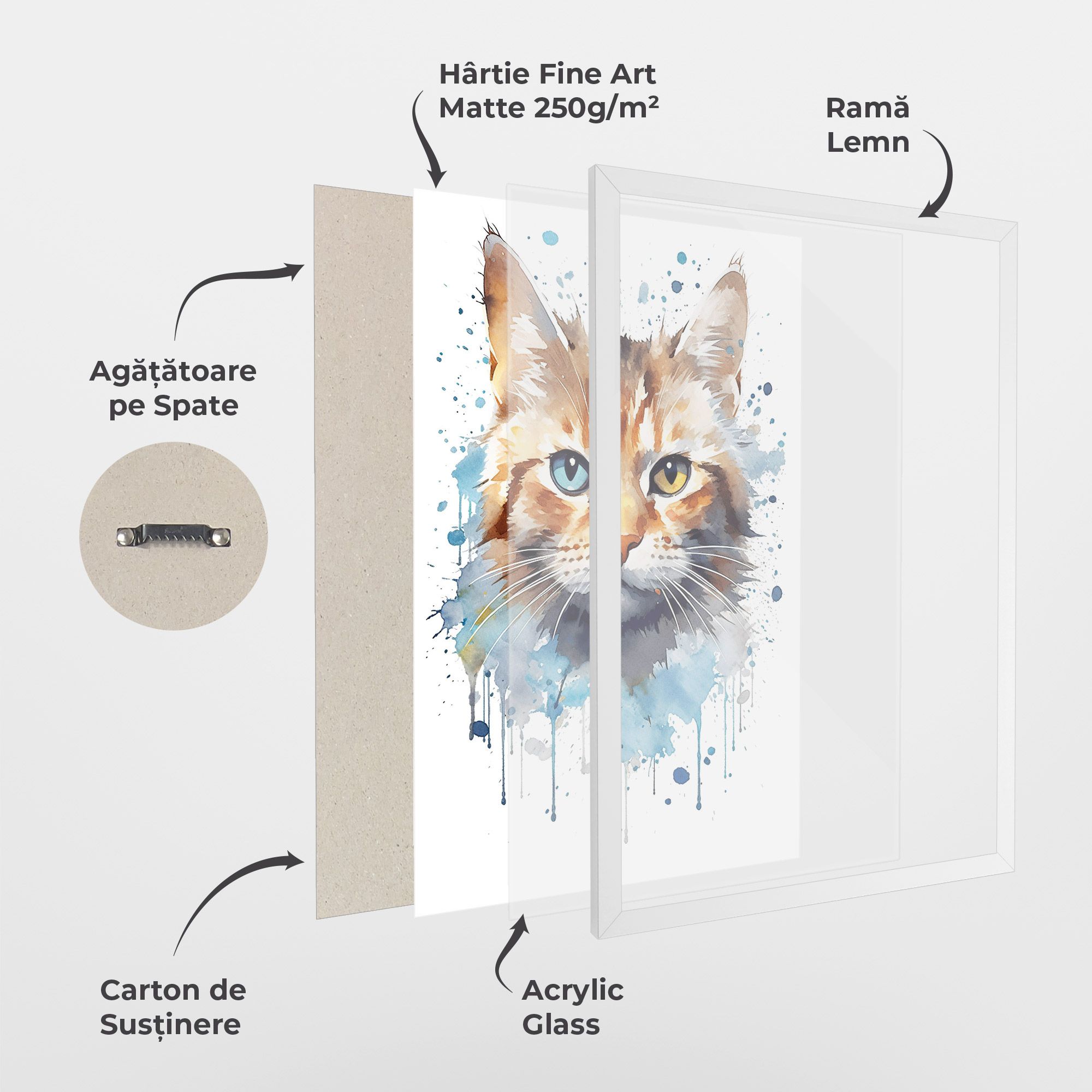Orange Blue Eyes Cat mockup 1