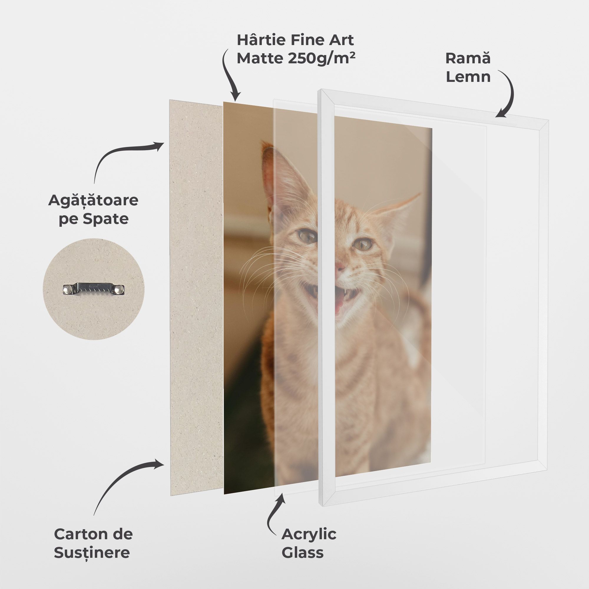 Orange Cat Smiling mockup 1