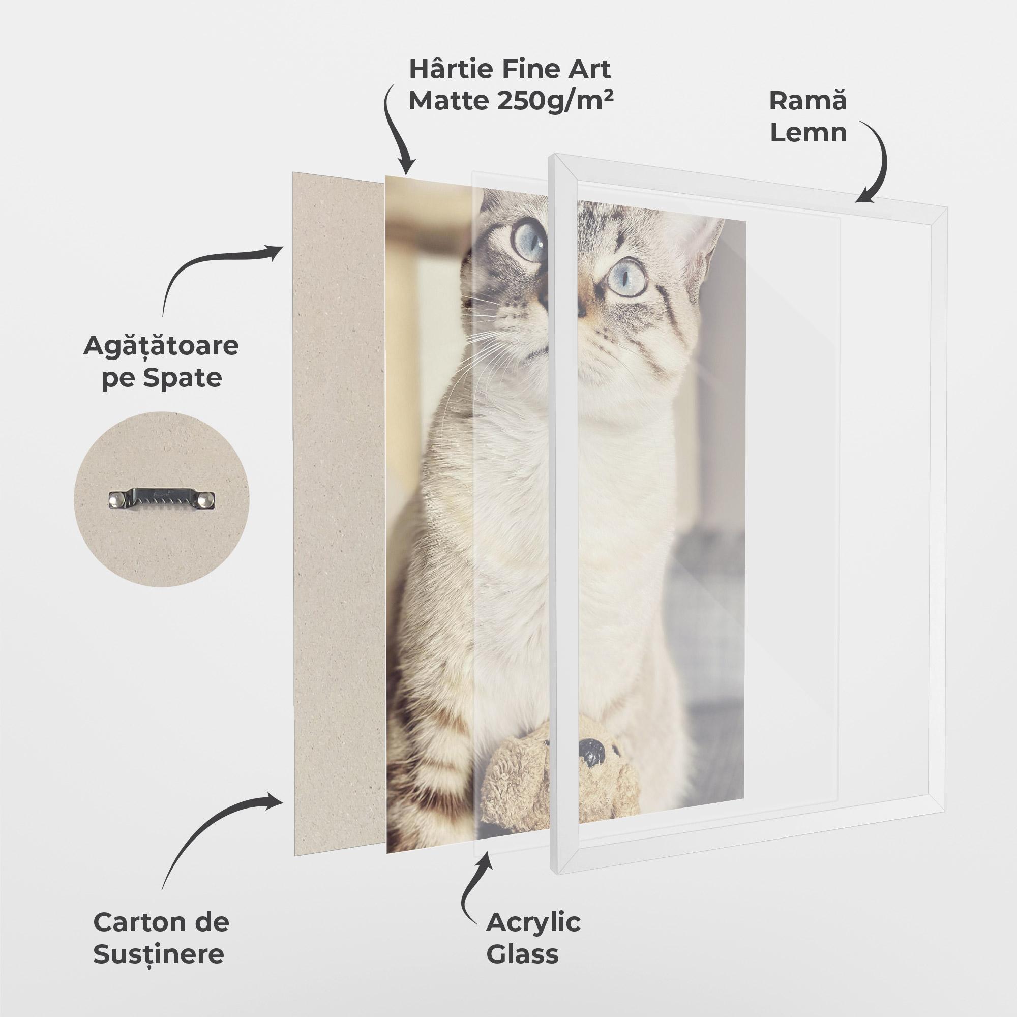 Poster Înrămat Pretty Blue Eyes Cat mockup 1