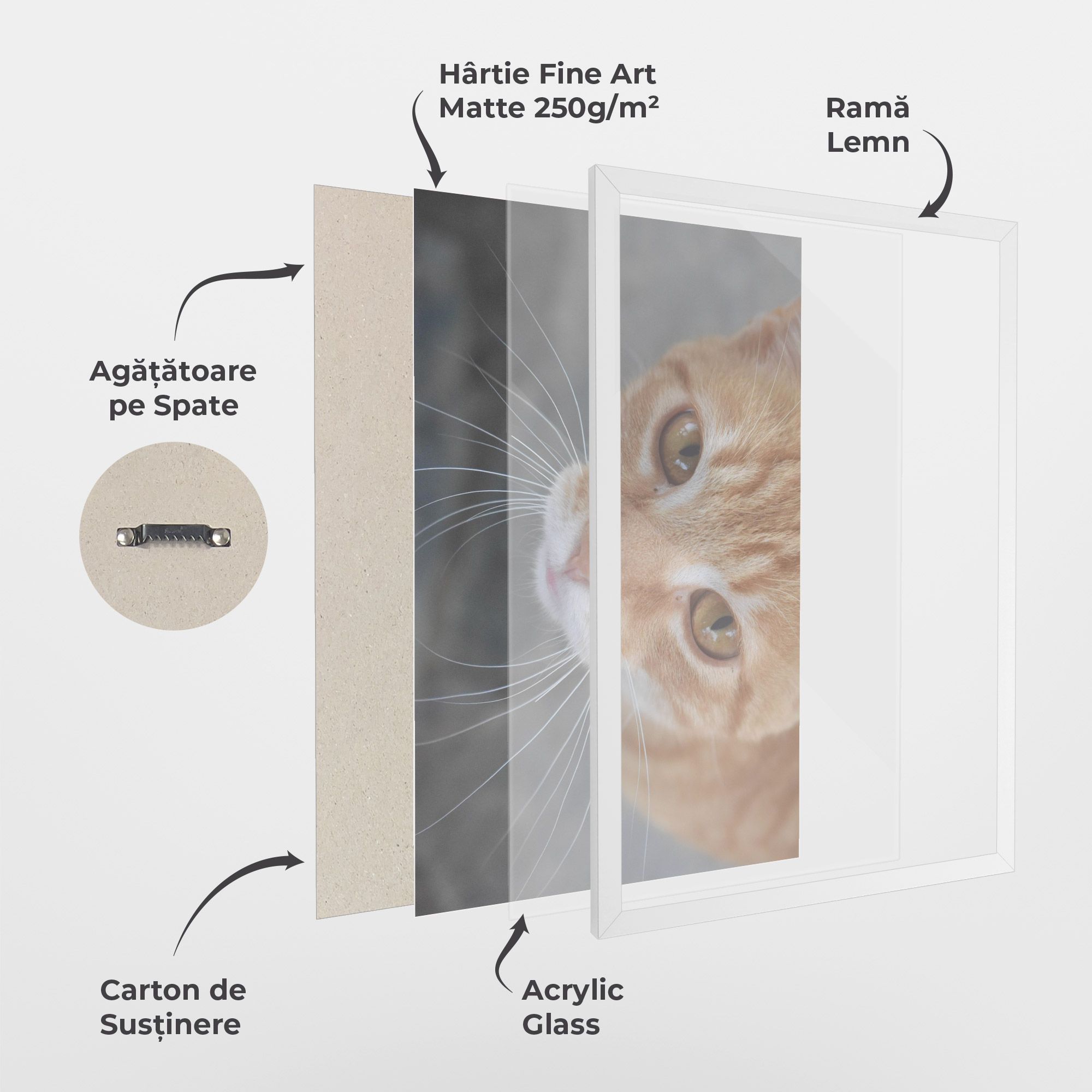 Pretty Orange Eyes Cat mockup 1