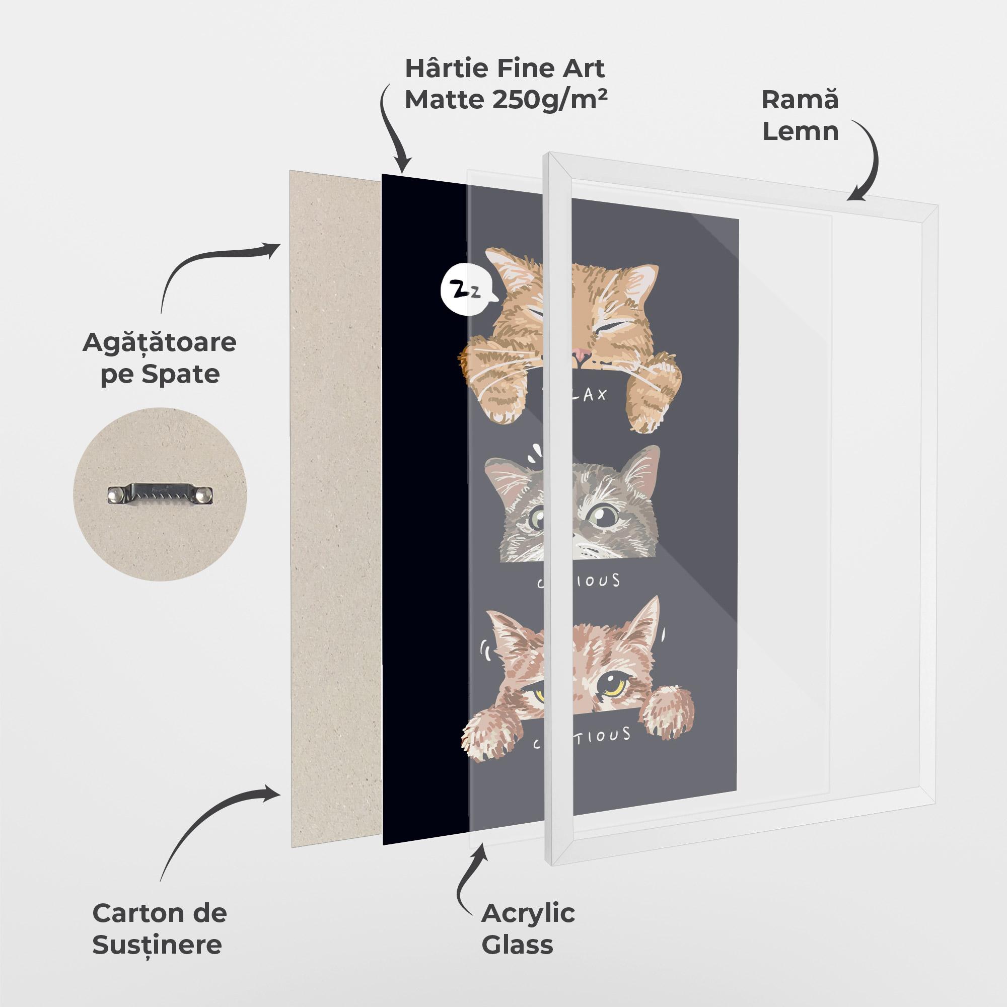 Poster Înrămat Relax Cat mockup 1