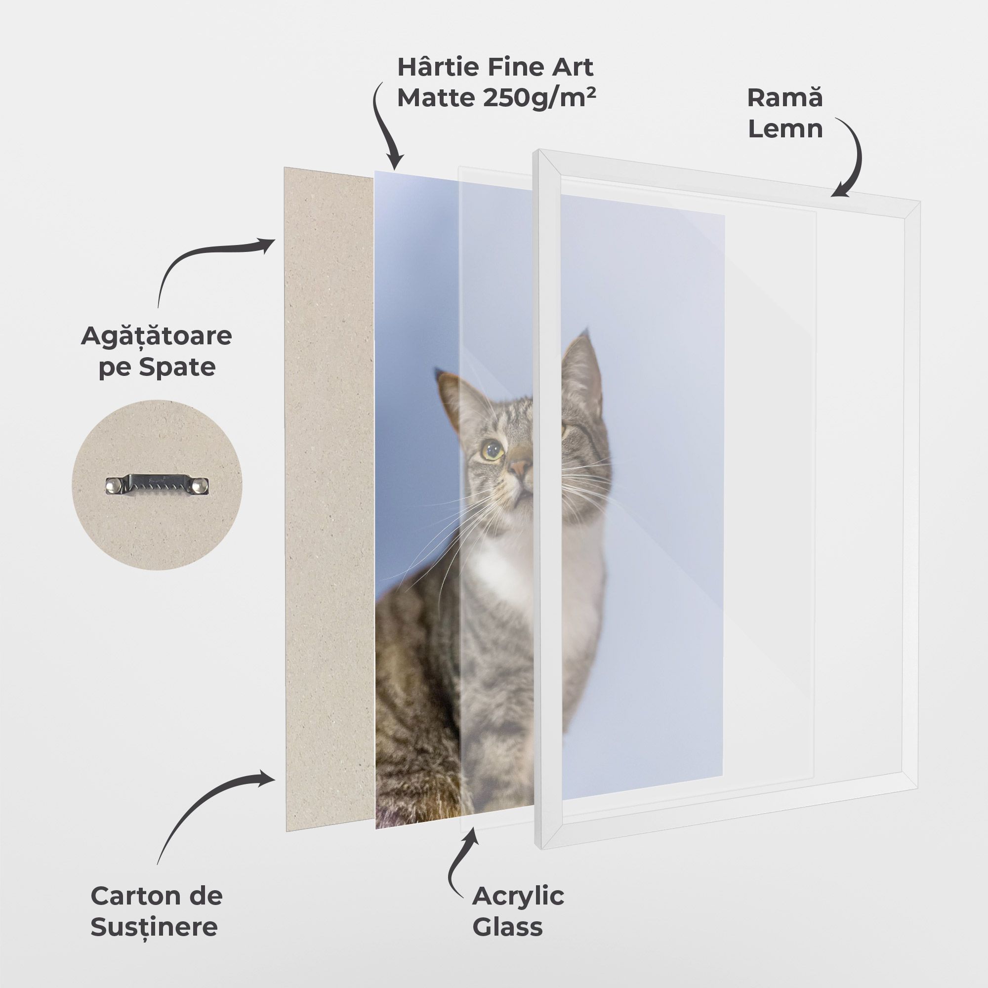 Yellow Eyes Cat mockup 1