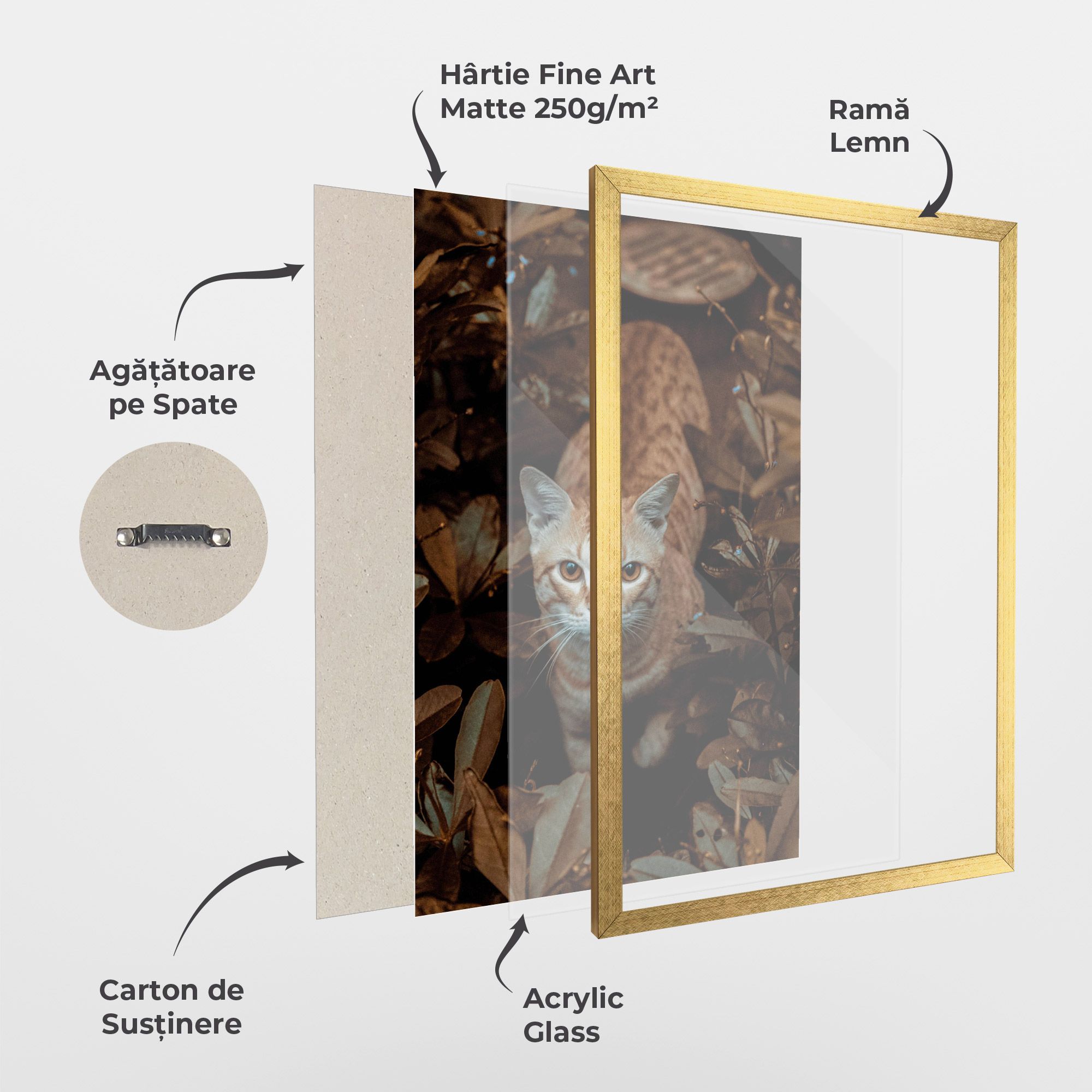 Autumn Orange Cat mockup 1