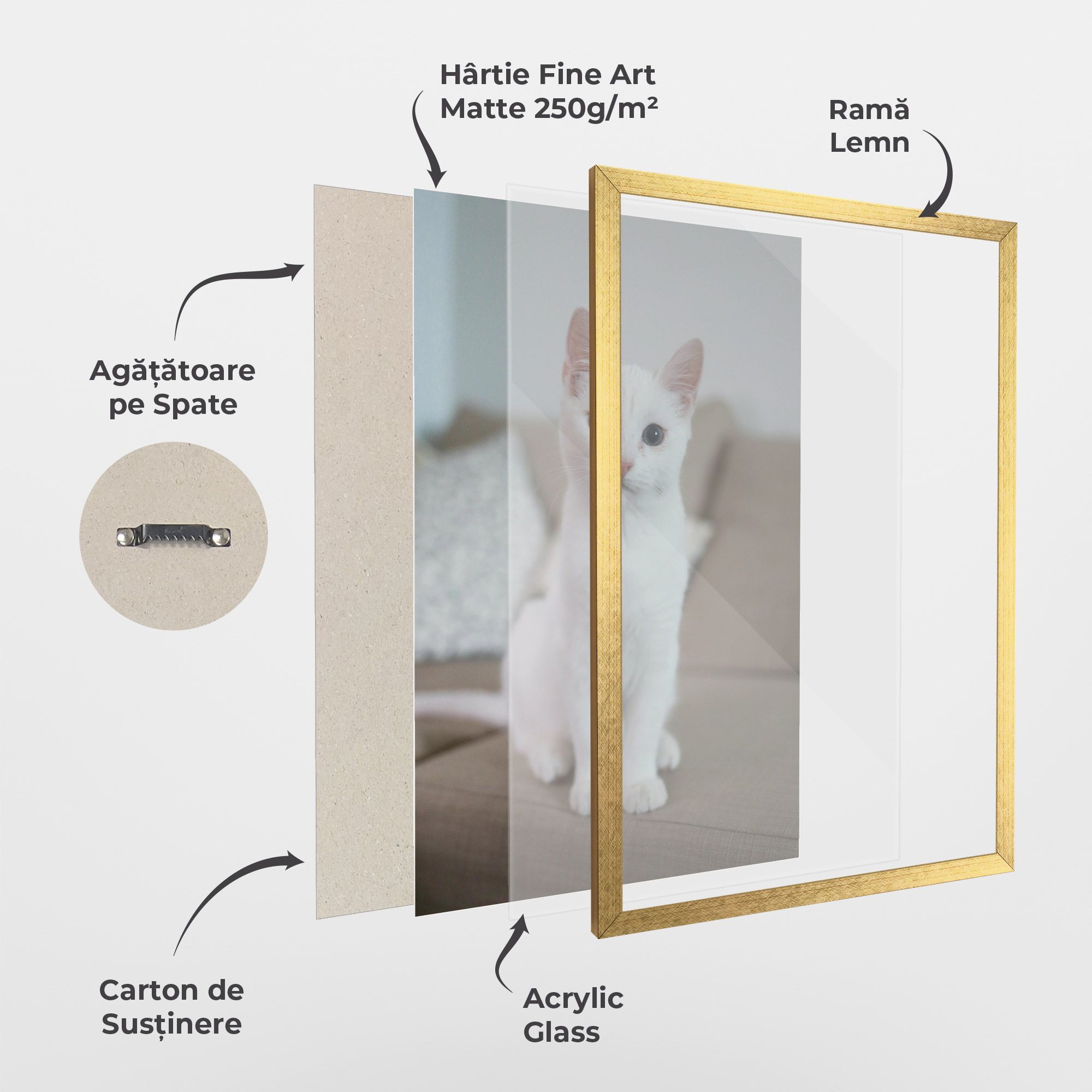 Beautiful White Cat mockup 1