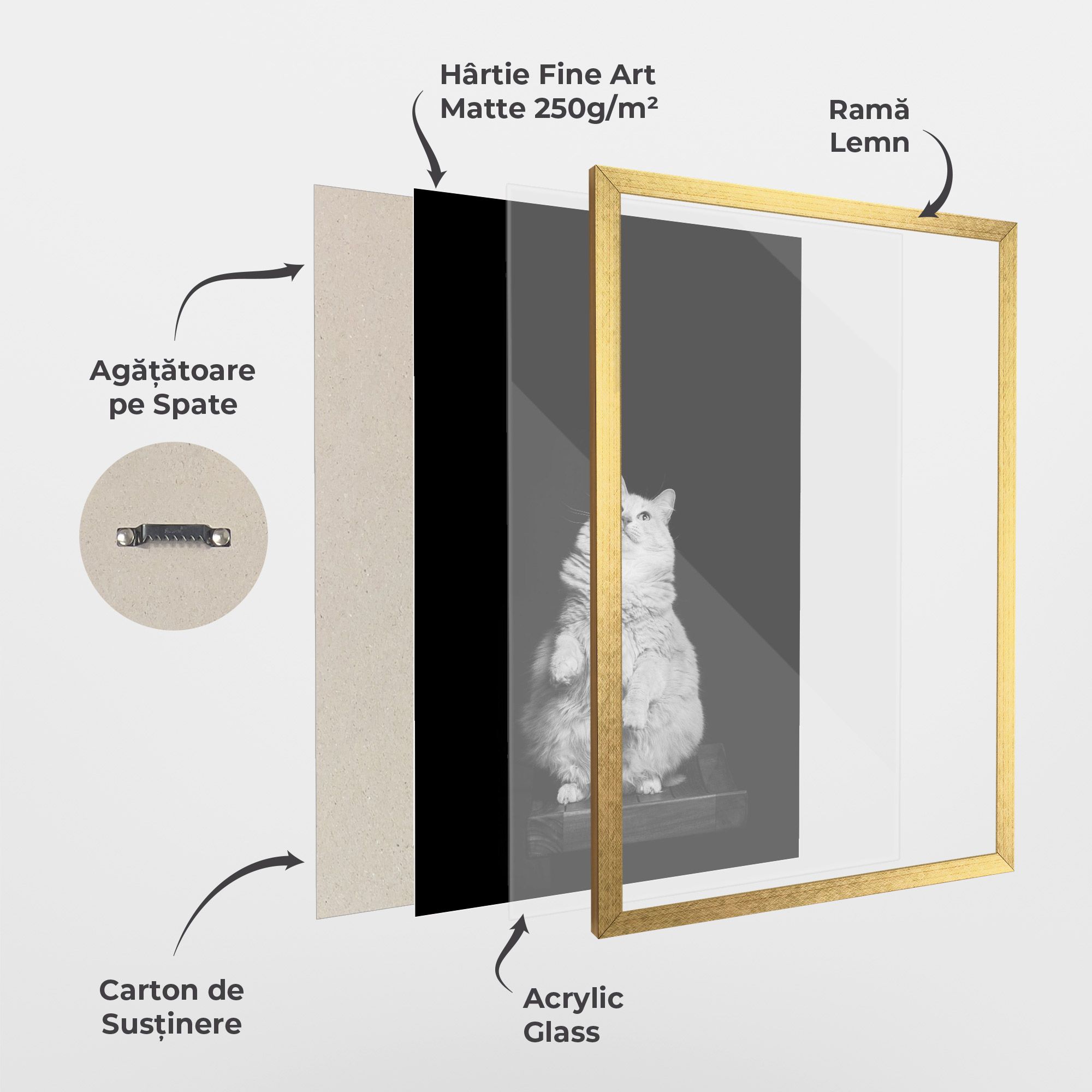 Big Fluffy Cat mockup 1