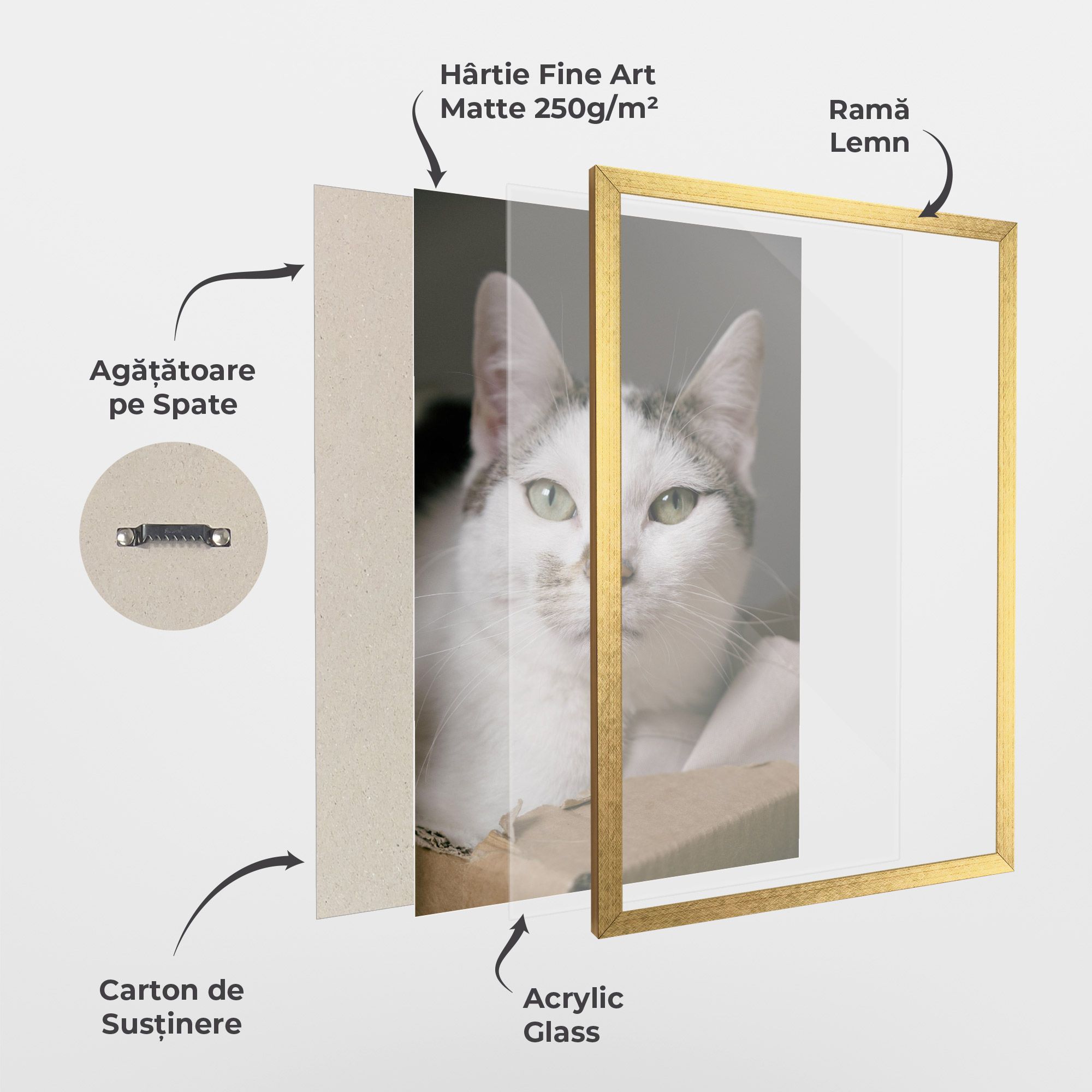 Big Sleepy Cat mockup 1