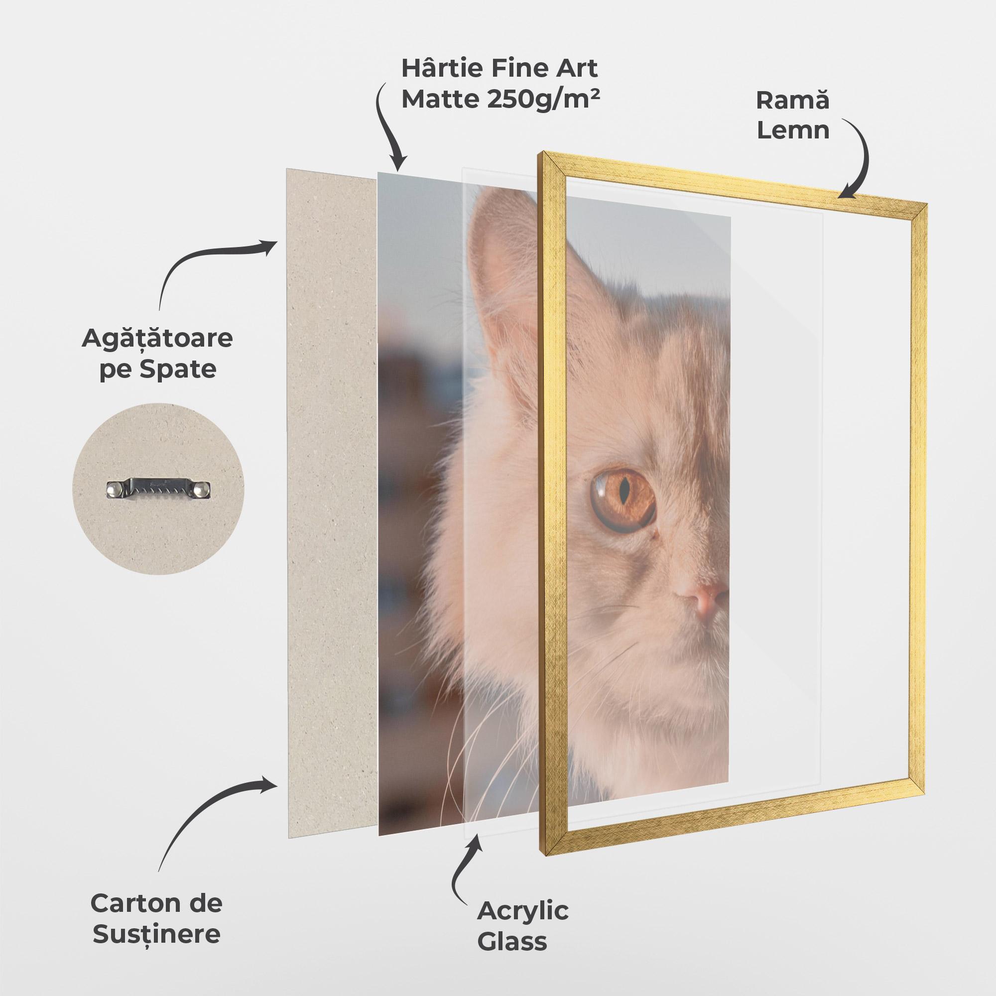 Poster Înrămat Cat Eye In Sun mockup 1