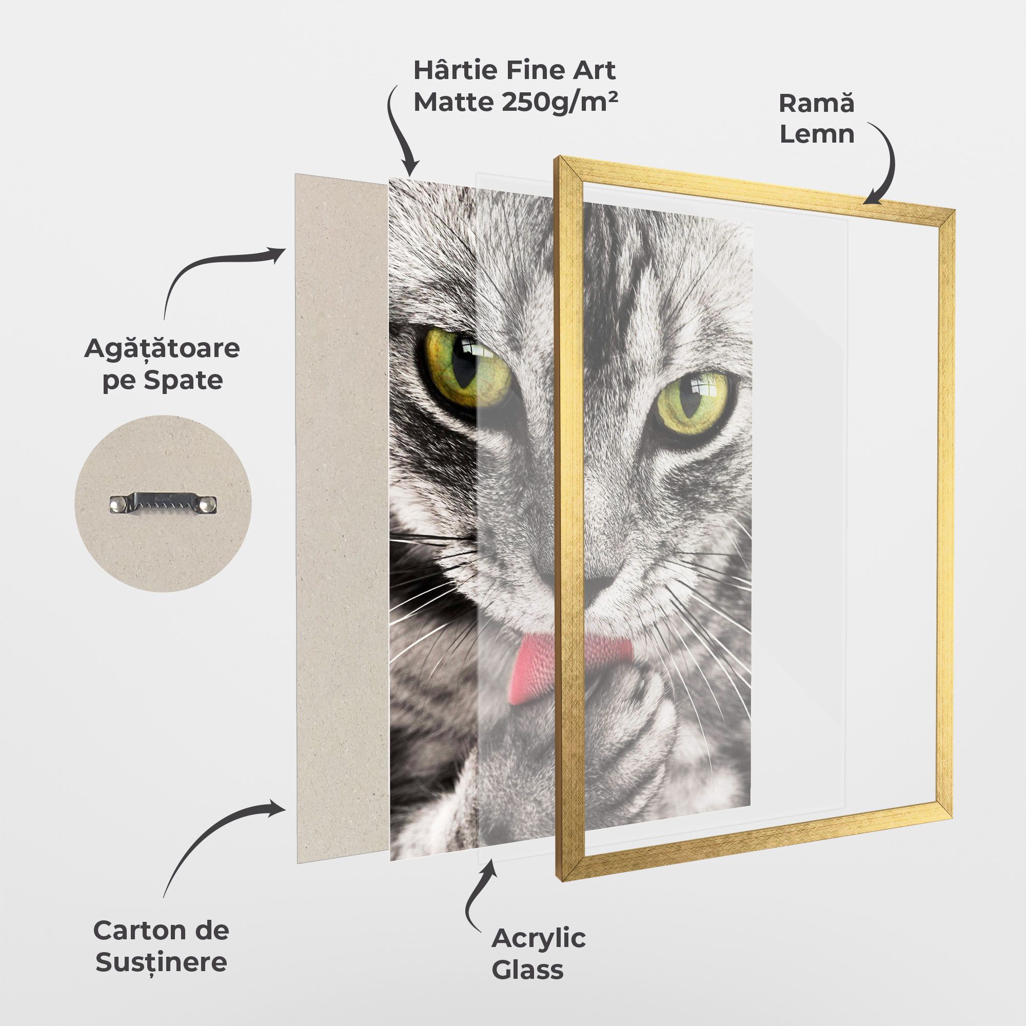 Green Eyes Close Up Cat mockup 1