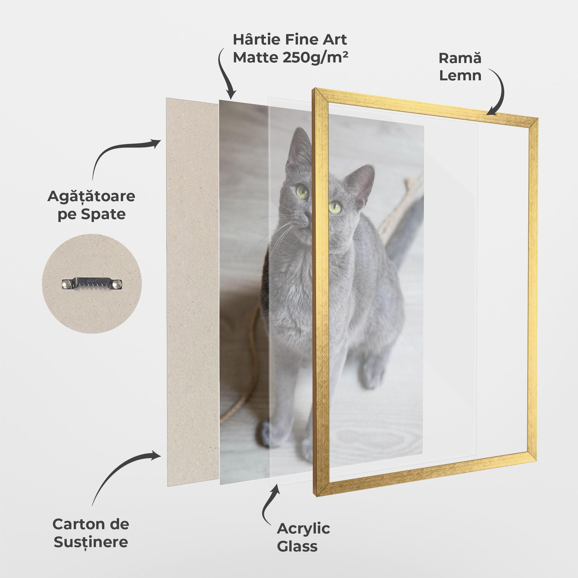 Poster Înrămat Grey Green Cat Eyes mockup 1