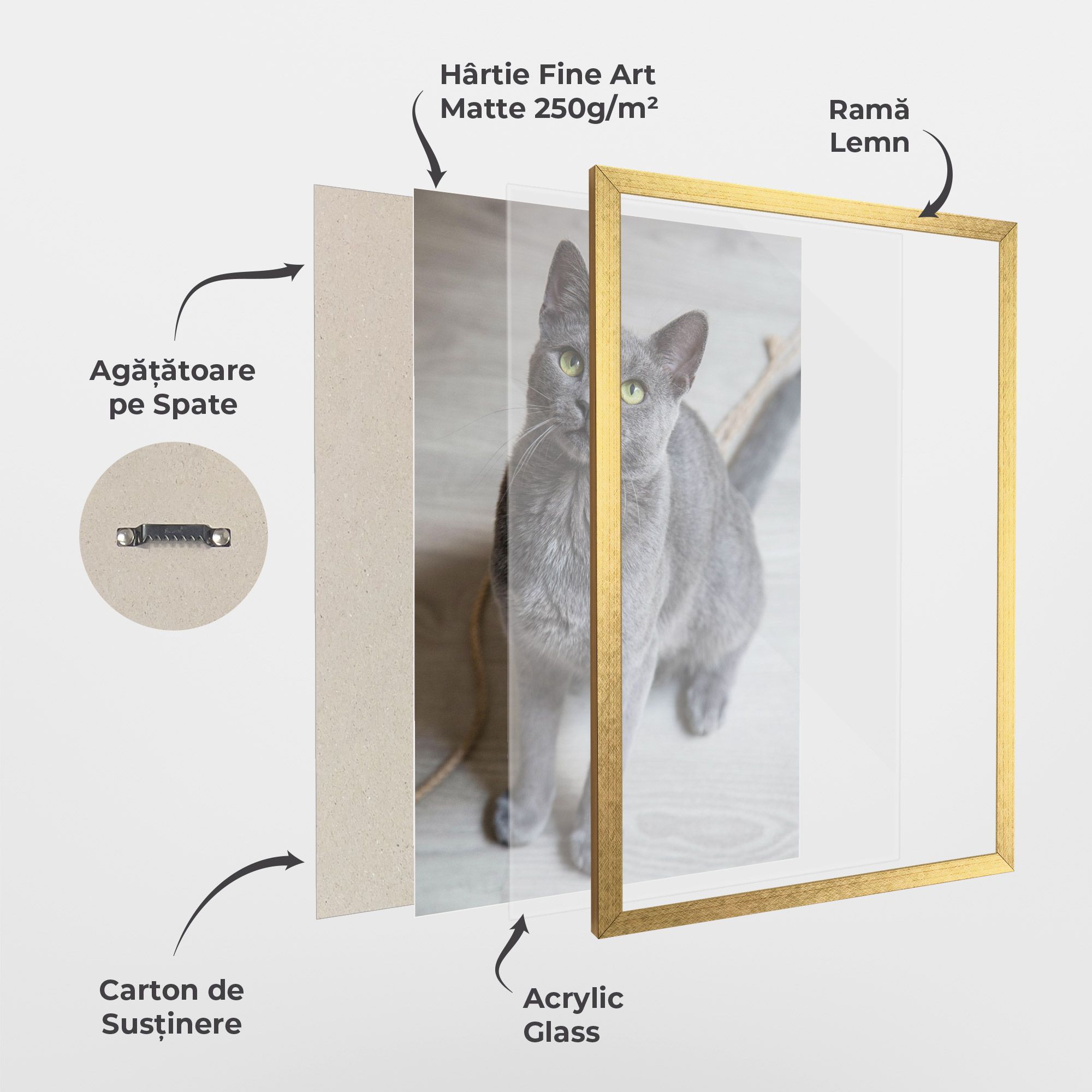 Grey Green Cat Eyes mockup 1