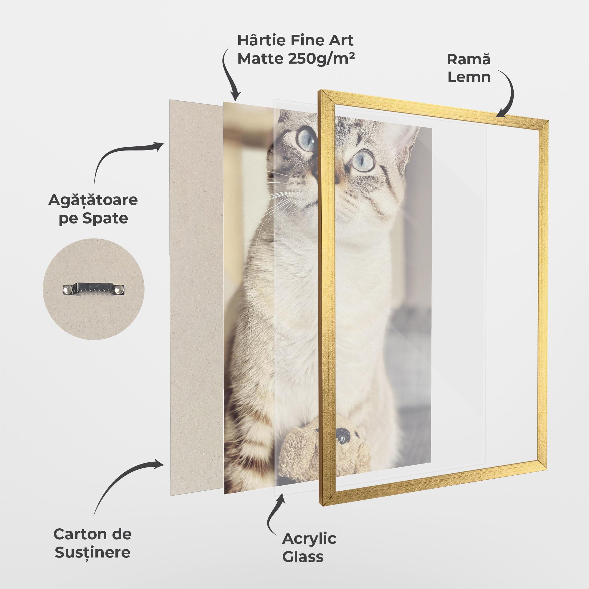 Poster Înrămat Pretty Blue Eyes Cat mockup 1