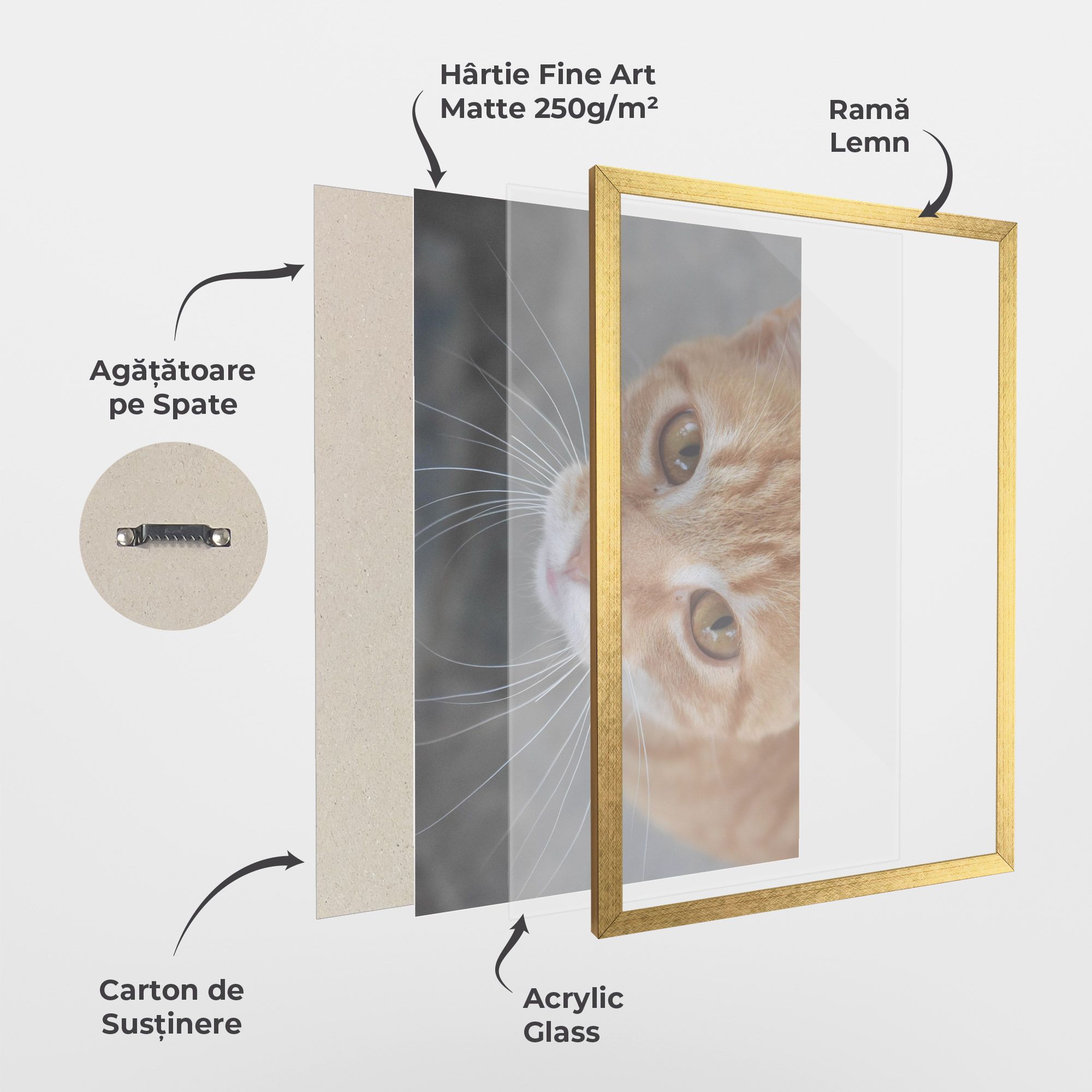 Pretty Orange Eyes Cat mockup 1