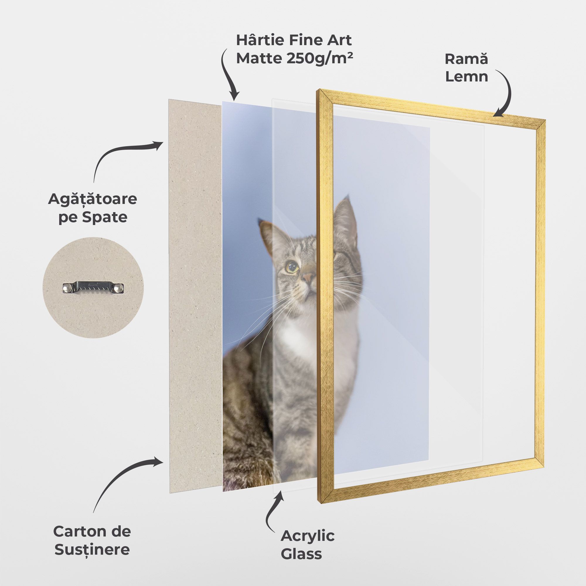 Yellow Eyes Cat mockup 1