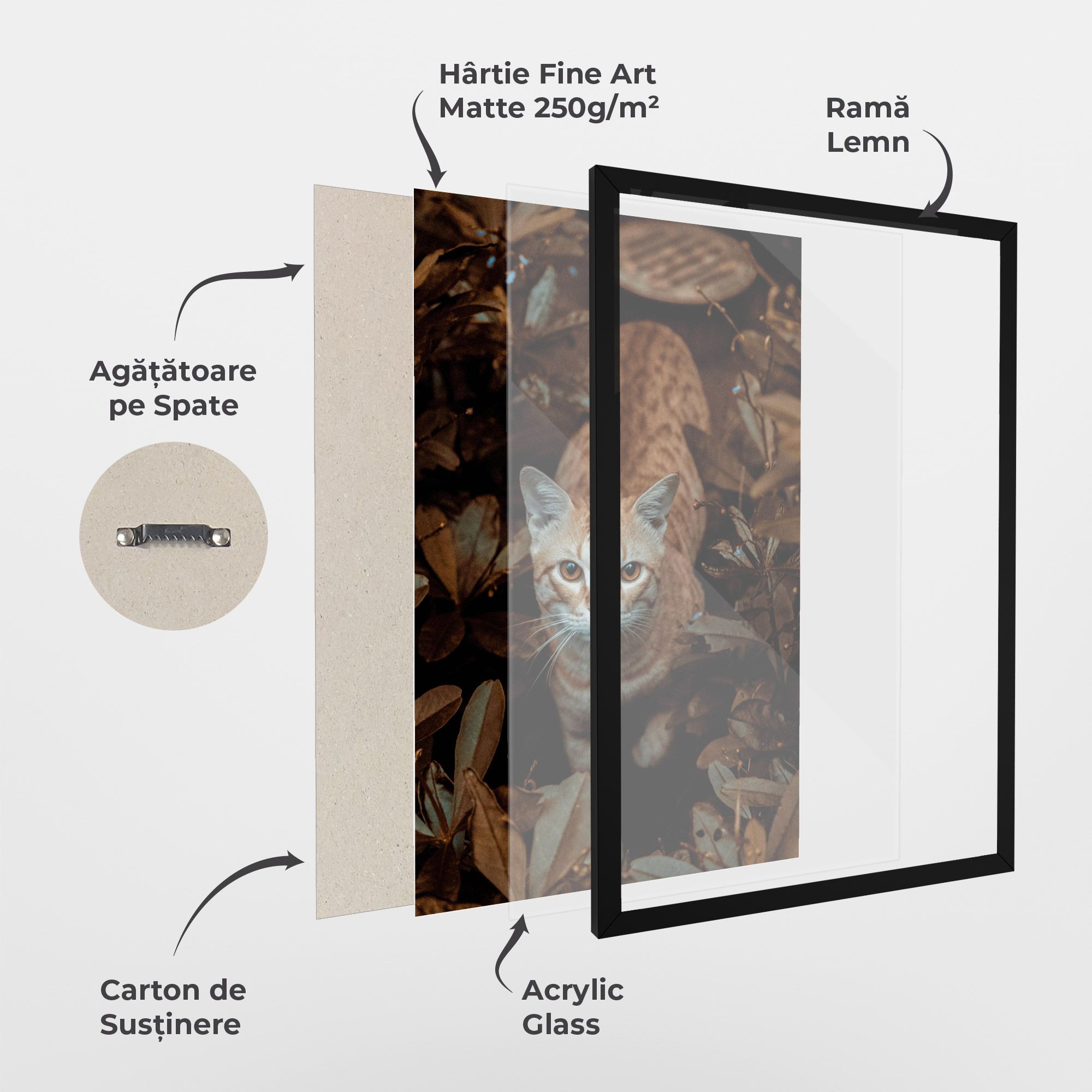 Autumn Orange Cat mockup 1