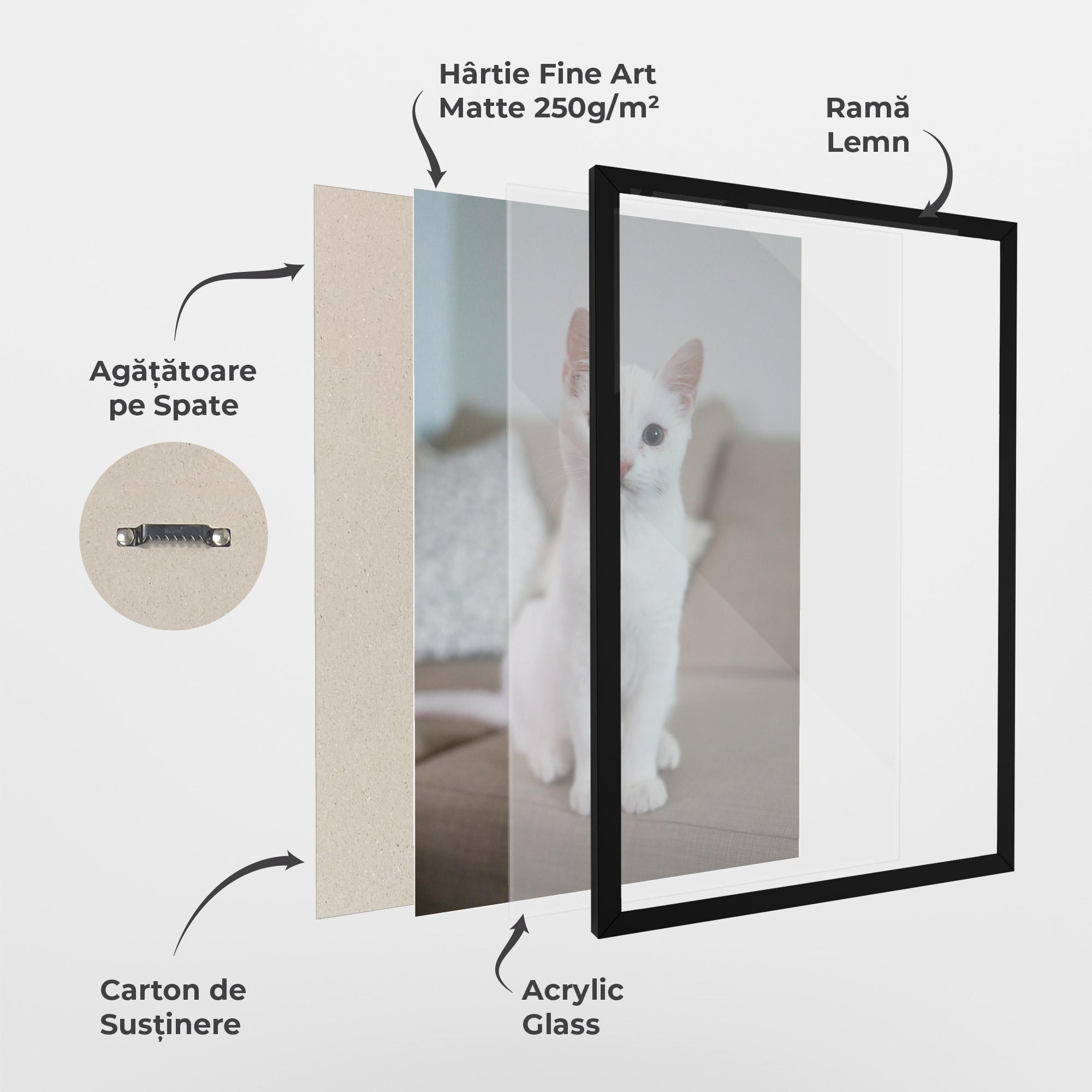 Poster Înrămat Beautiful White Cat mockup 1