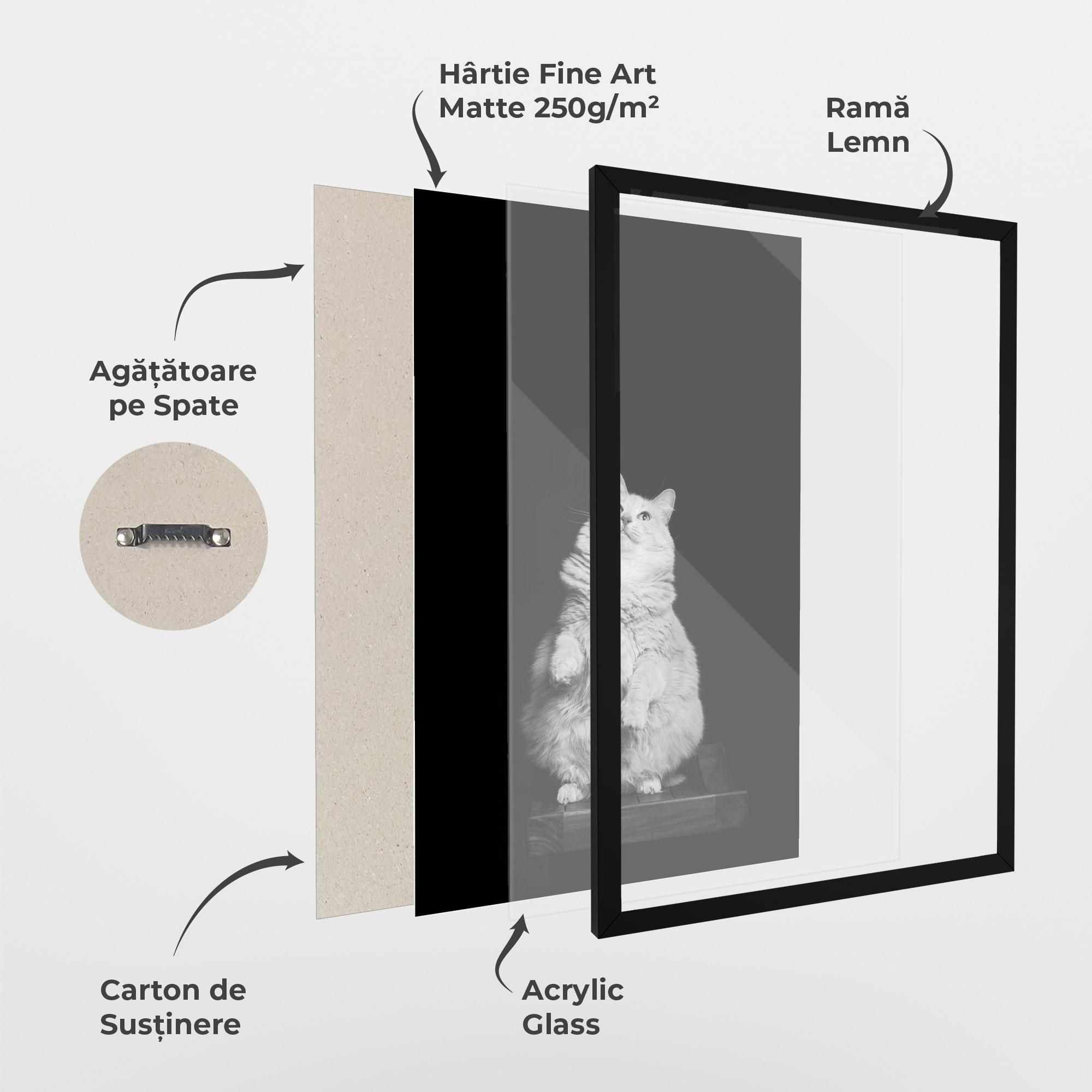 Poster Înrămat Big Fluffy Cat mockup 1