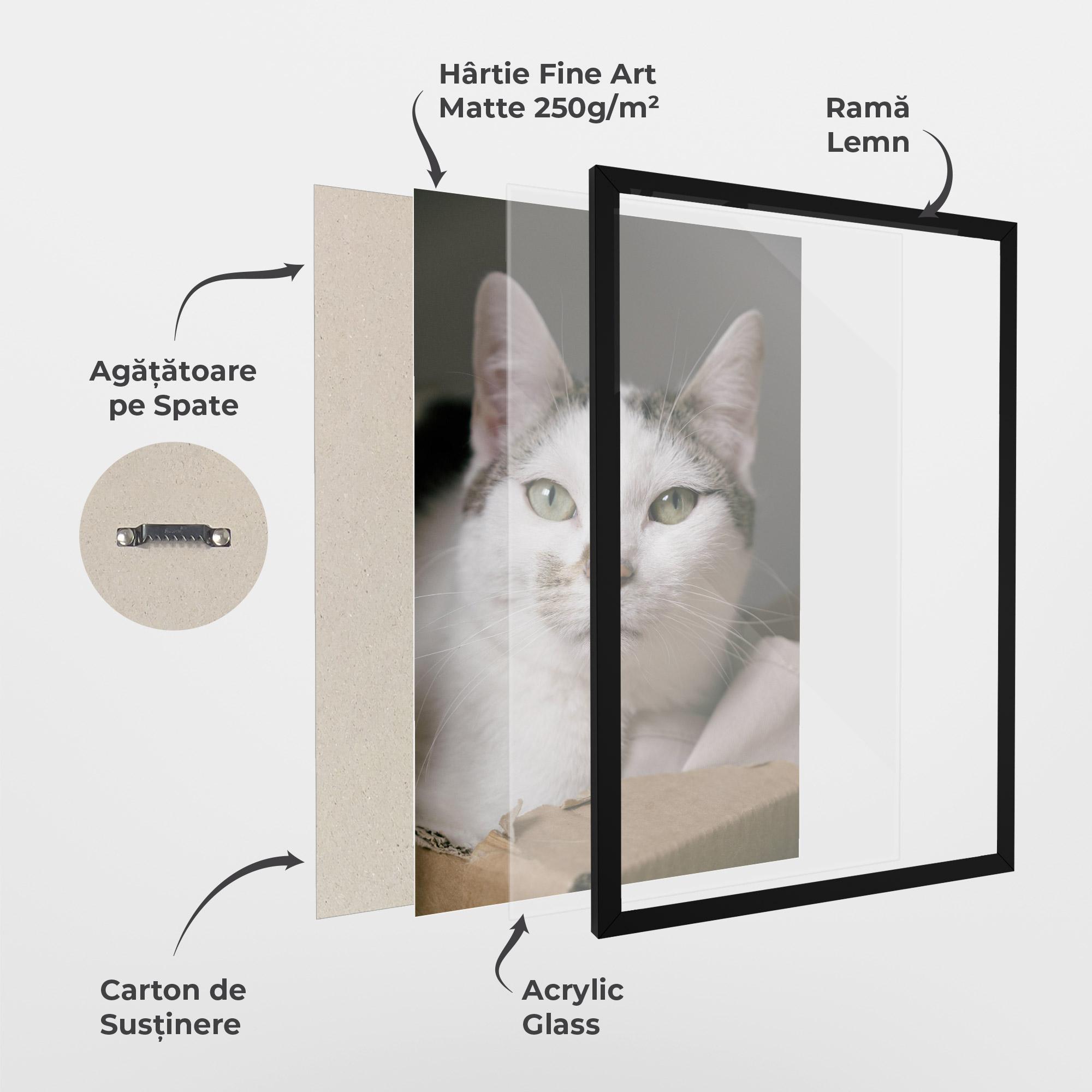 Poster Înrămat Big Sleepy Cat mockup 1