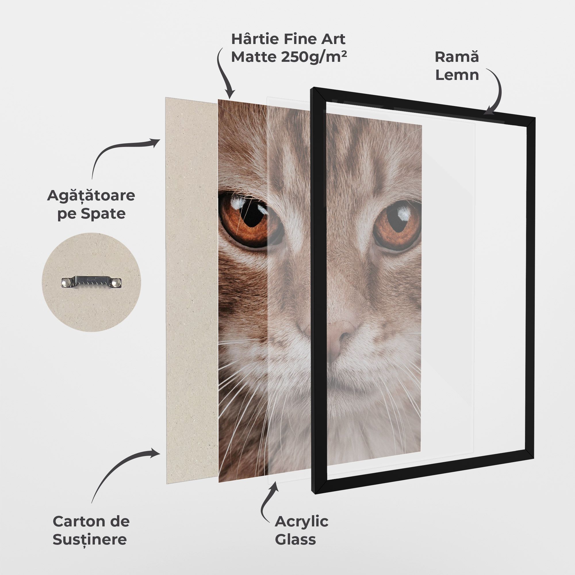 Fire Eyes Cat mockup 1
