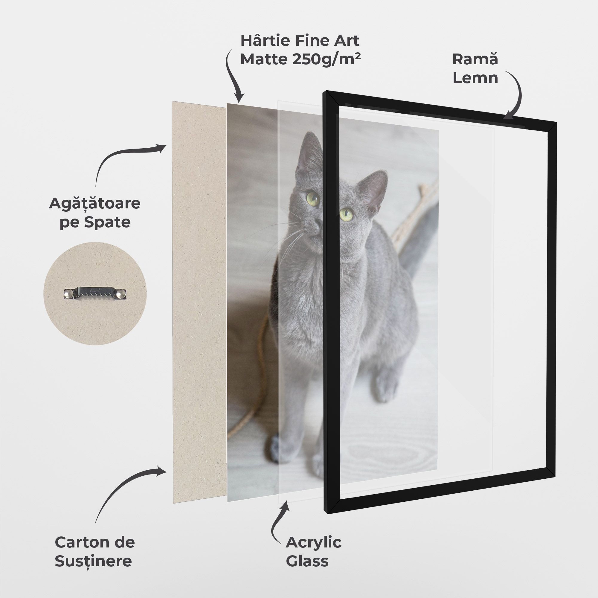 Grey Green Cat Eyes mockup 1