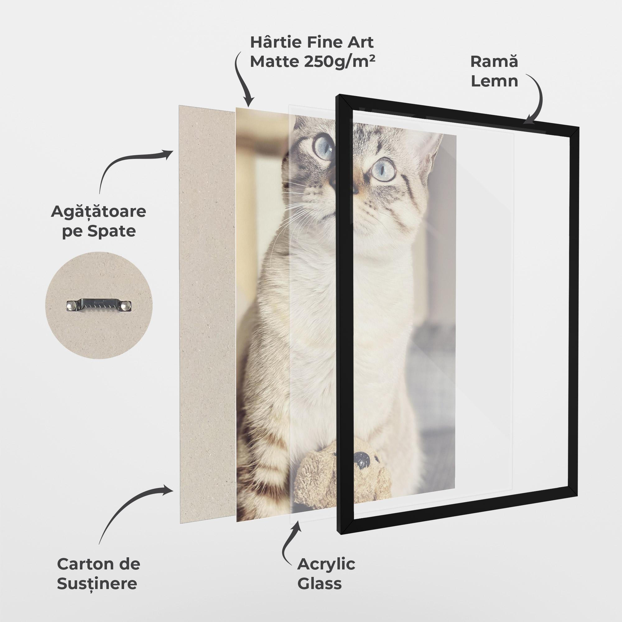 Poster Înrămat Pretty Blue Eyes Cat mockup 1