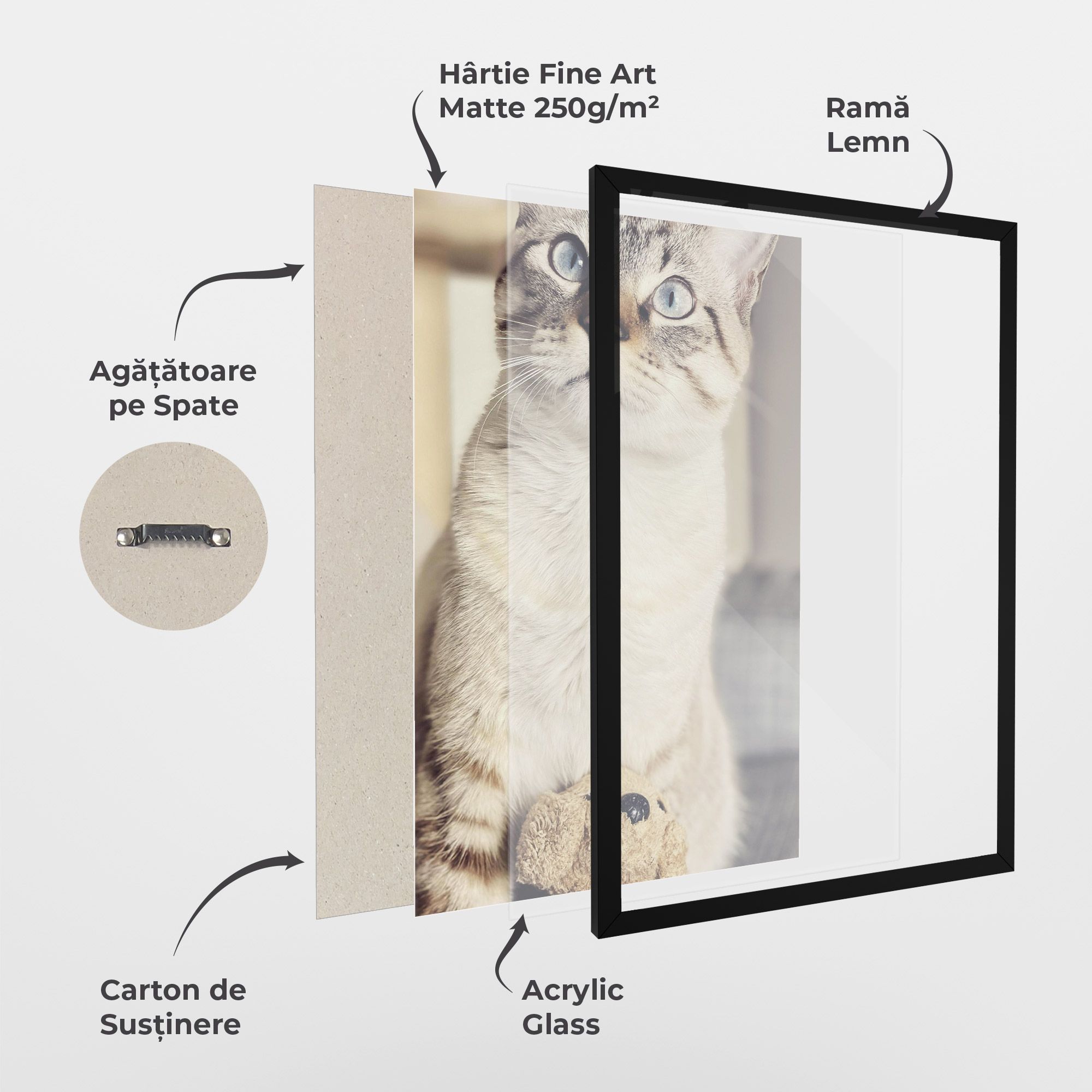 Pretty Blue Eyes Cat mockup 1