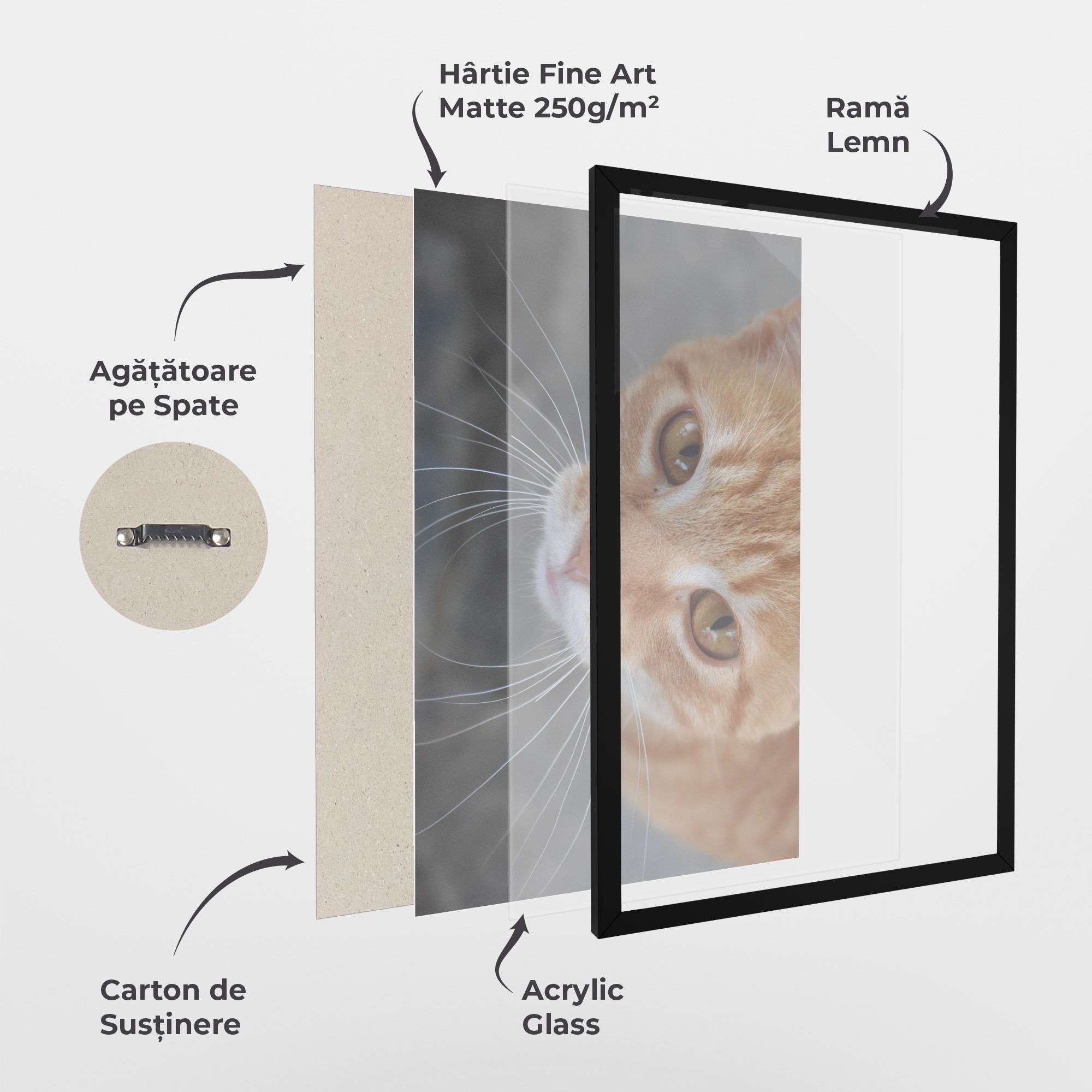 Pretty Orange Eyes Cat mockup 1