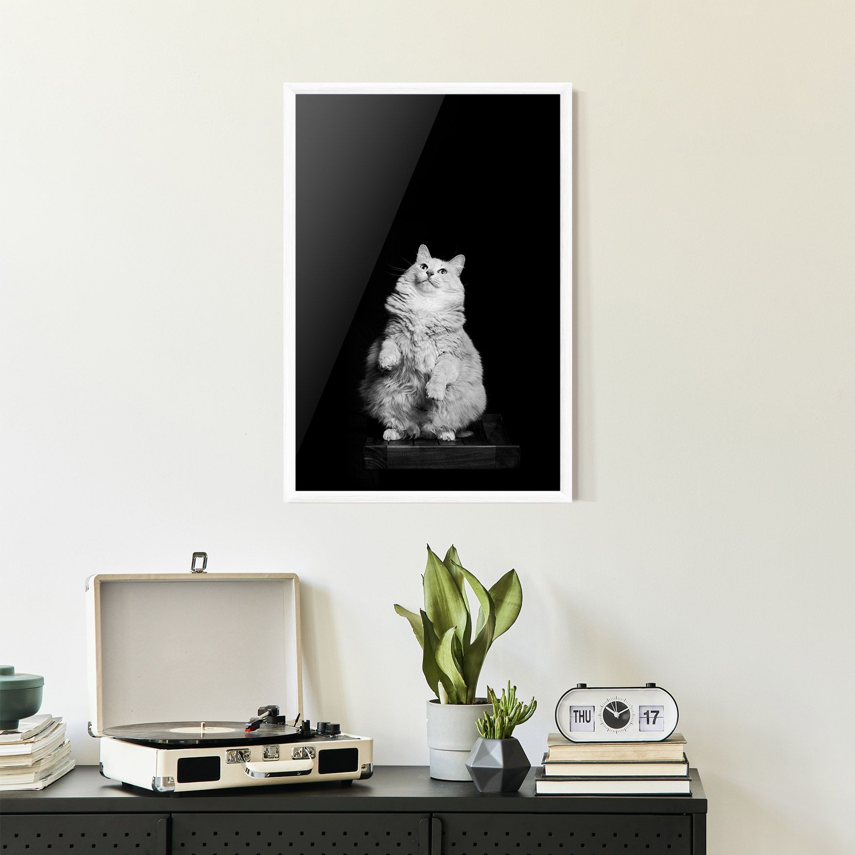 Big Fluffy Cat mockup 2