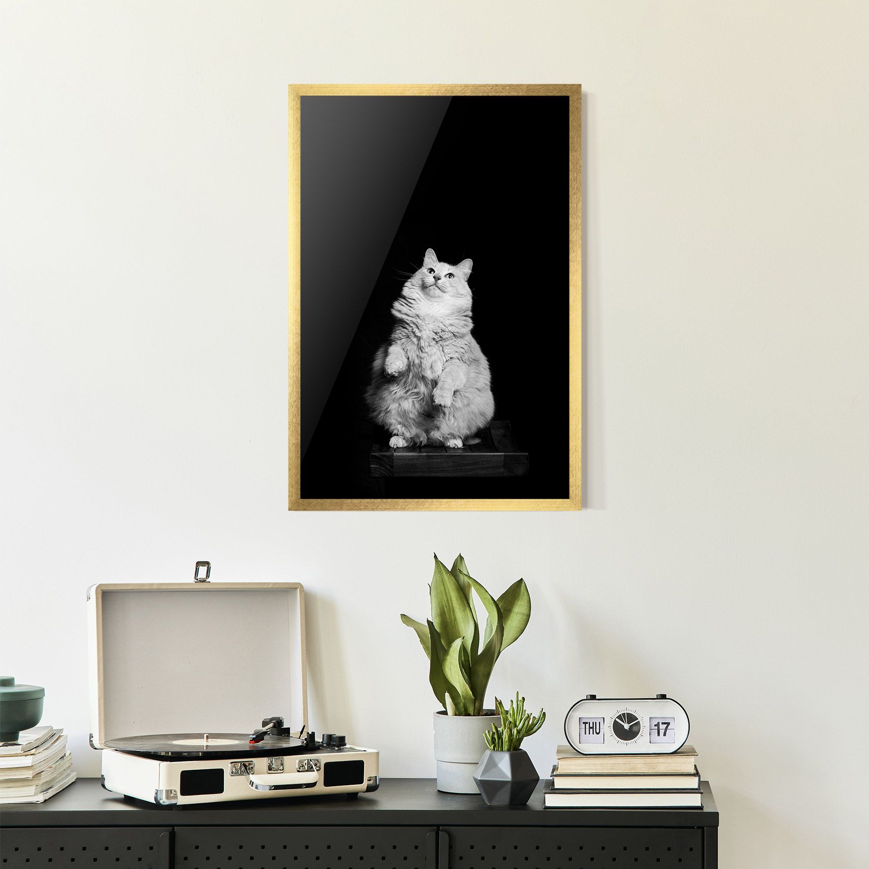 Big Fluffy Cat mockup 2