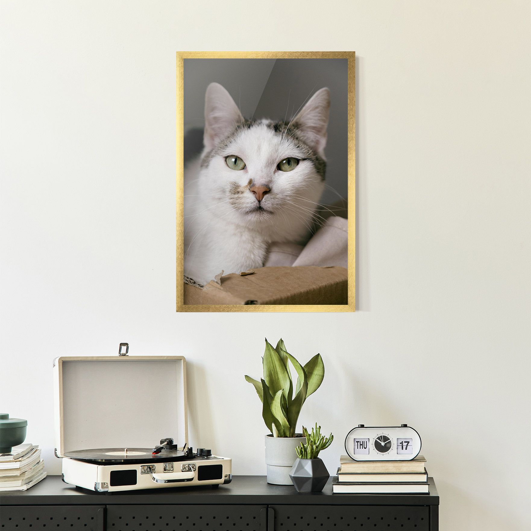 Big Sleepy Cat mockup 2