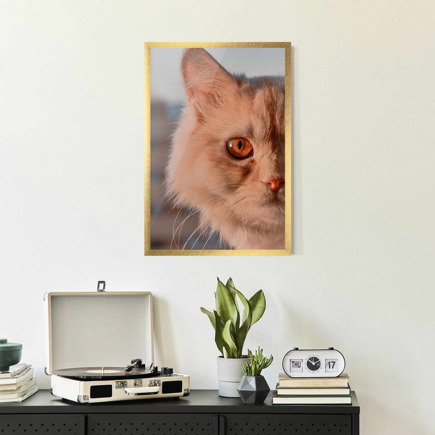 Poster Înrămat Cat Eye In Sun mockup 2