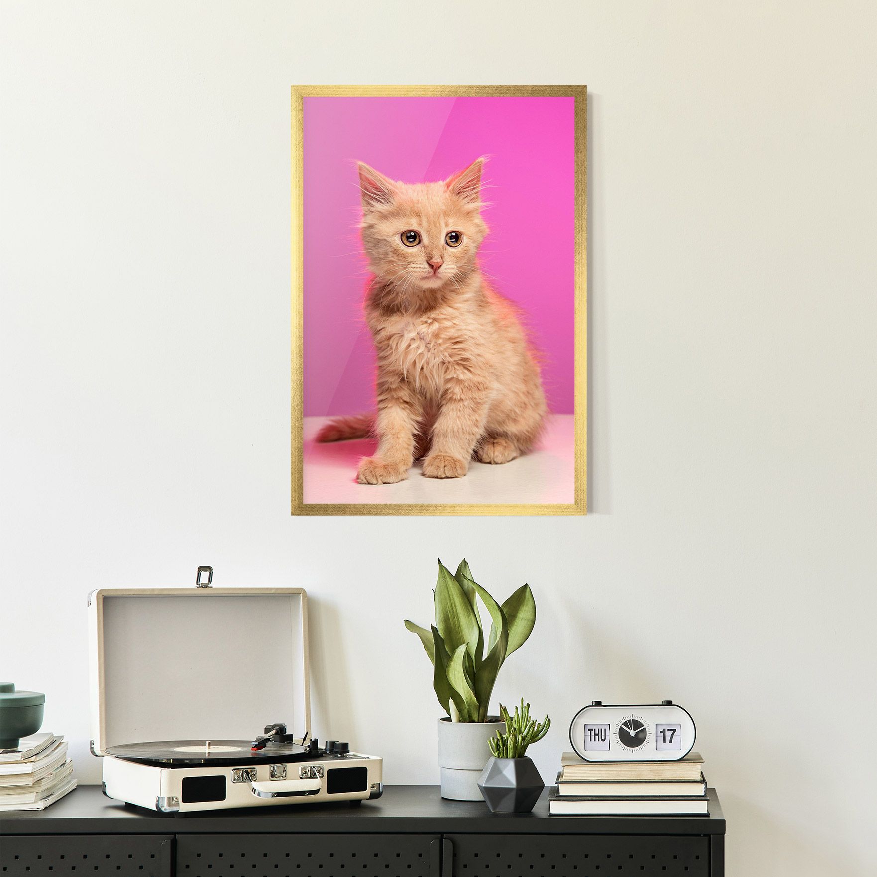 Orange Cat On Pink mockup 2