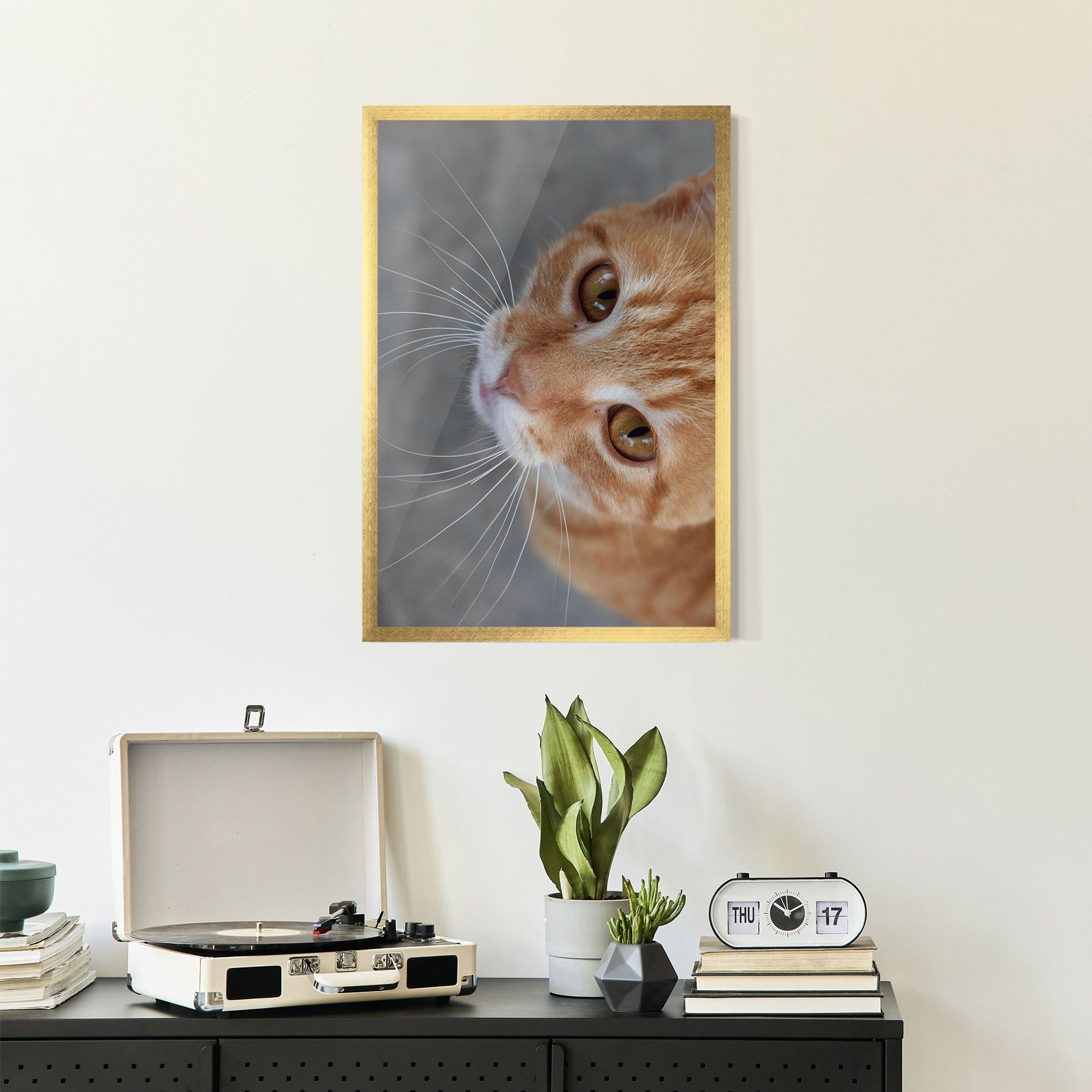 Pretty Orange Eyes Cat mockup 2