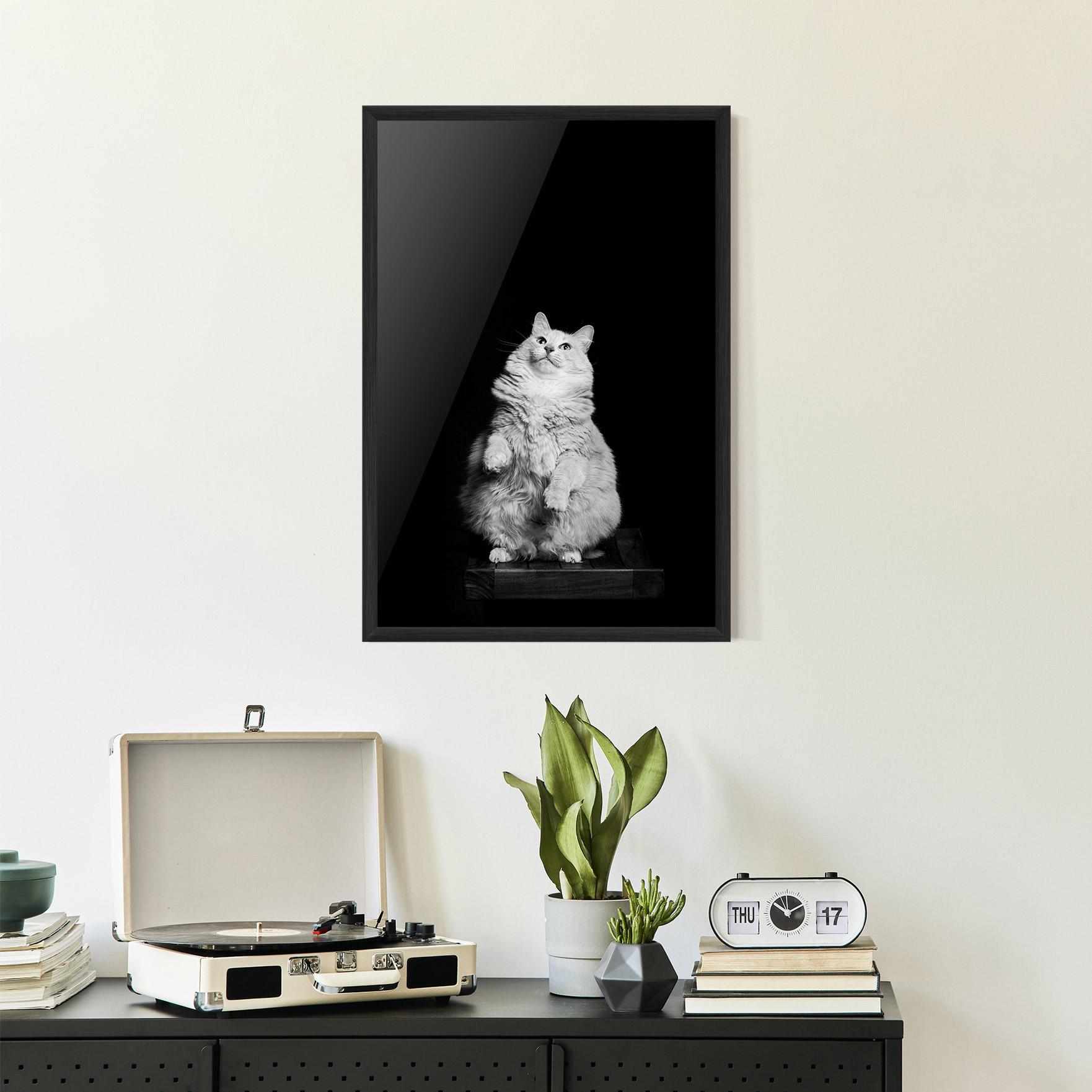 Poster Înrămat Big Fluffy Cat mockup 2