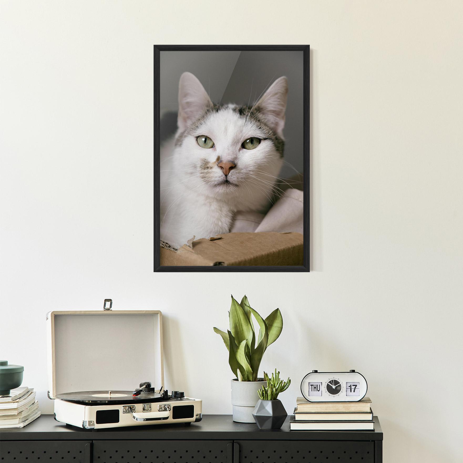 Poster Înrămat Big Sleepy Cat mockup 2