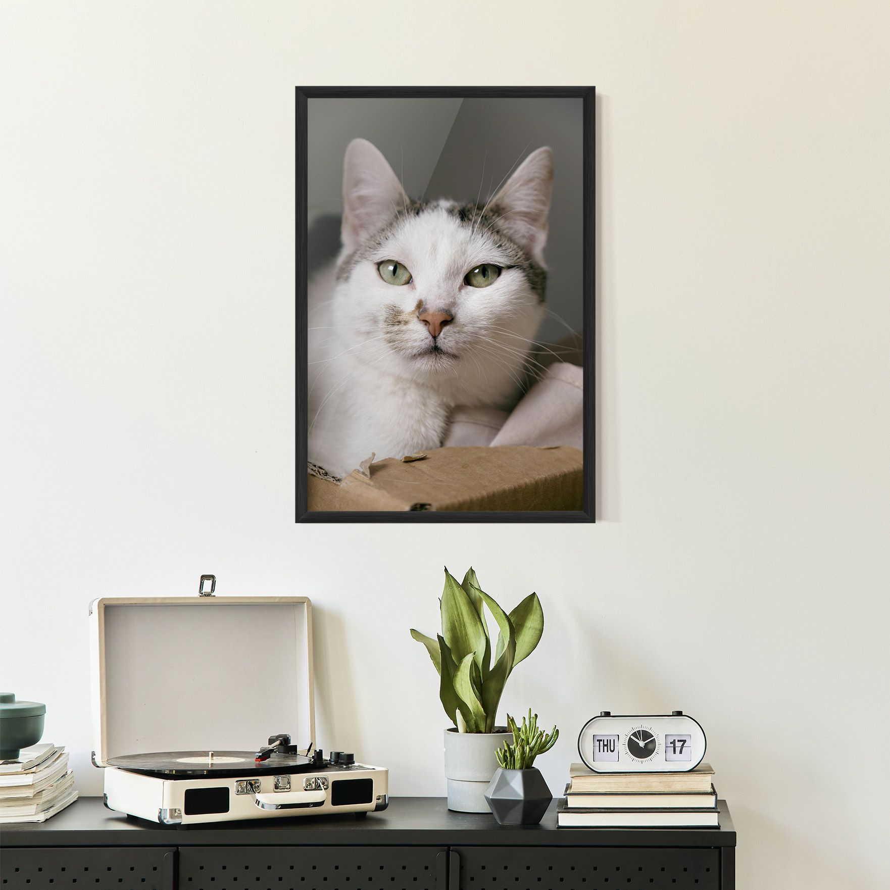 Big Sleepy Cat mockup 2