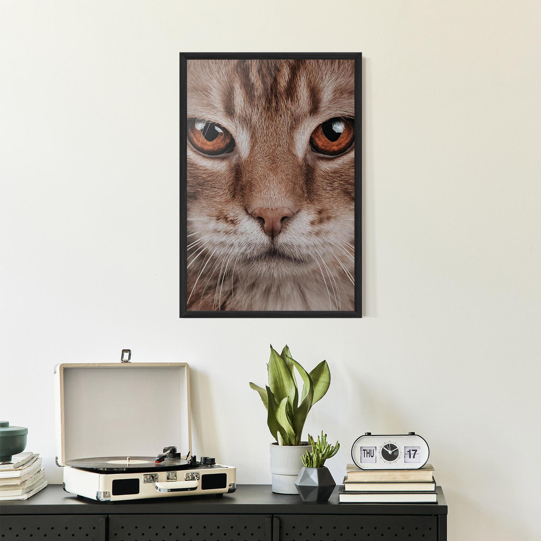 Poster Înrămat Fire Eyes Cat mockup 2