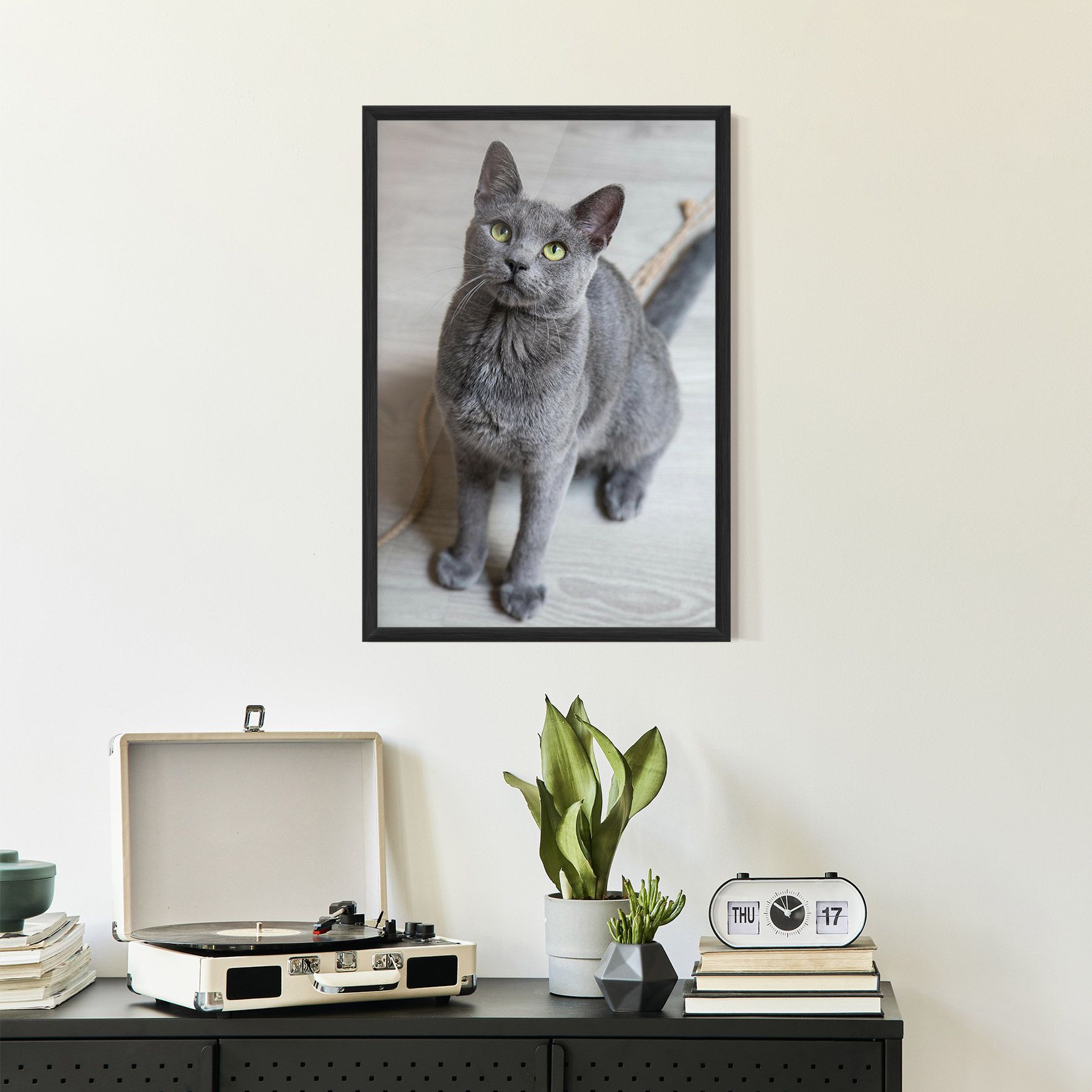 Grey Green Cat Eyes mockup 2