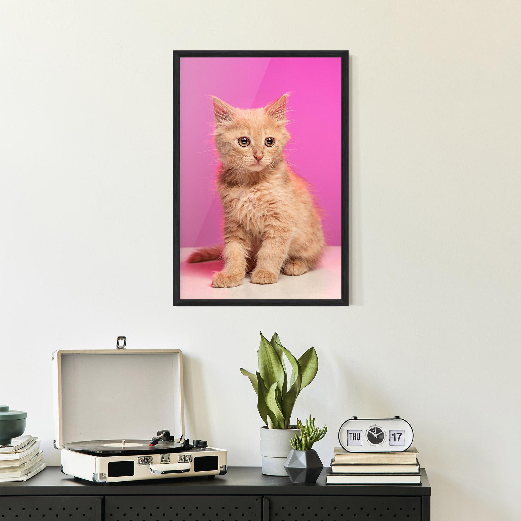Poster Înrămat Orange Cat On Pink mockup 2