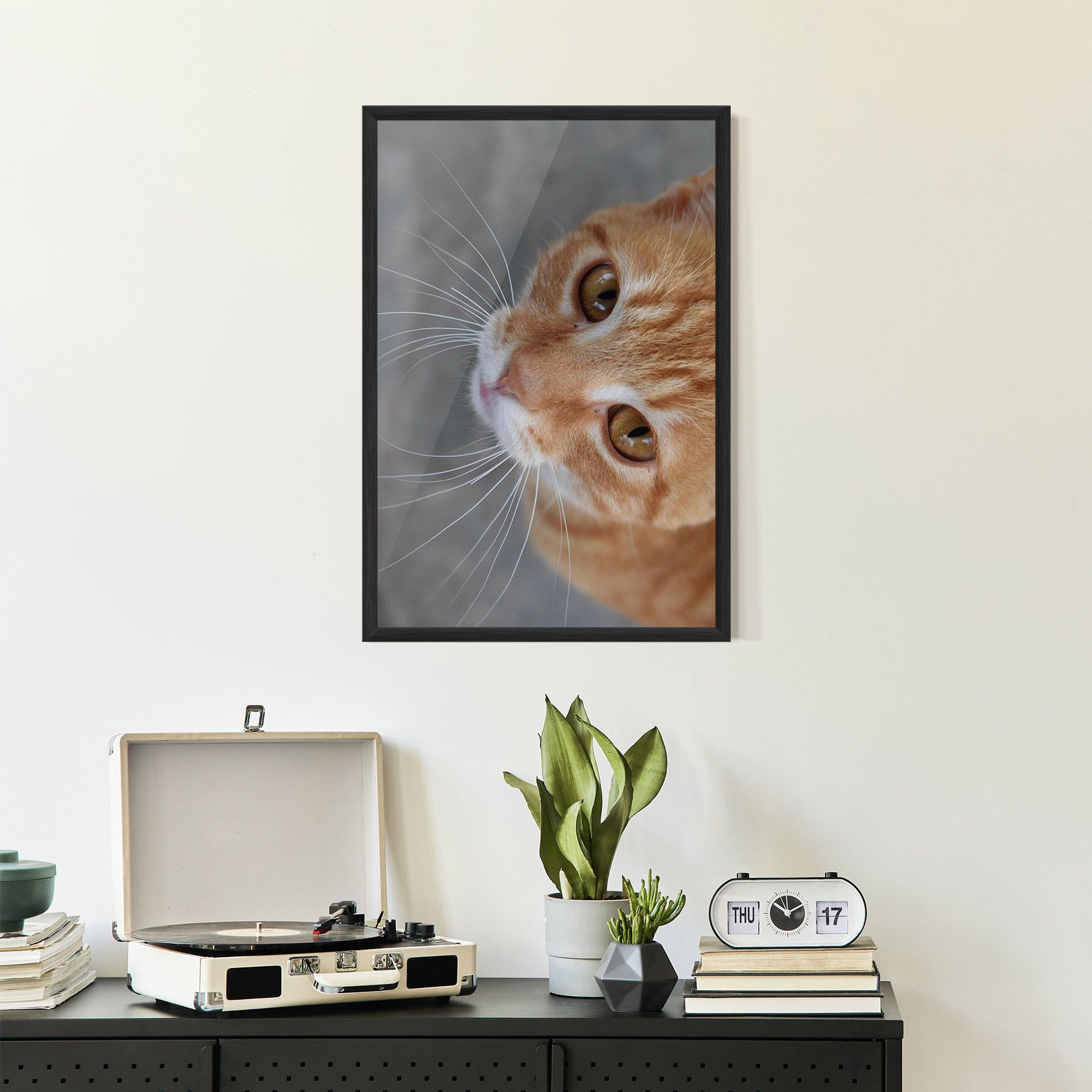Pretty Orange Eyes Cat mockup 2