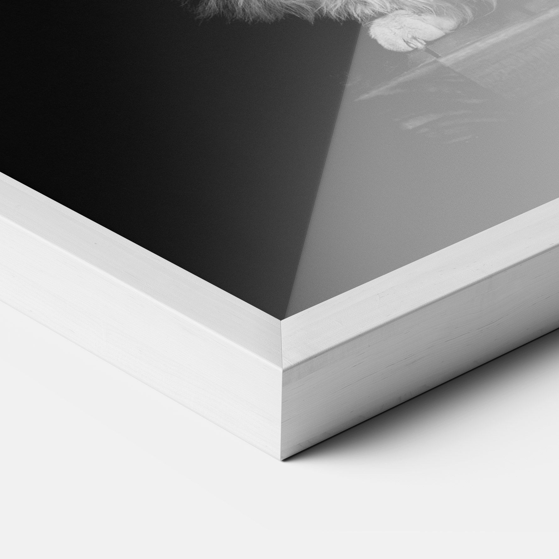 Big Fluffy Cat mockup 3