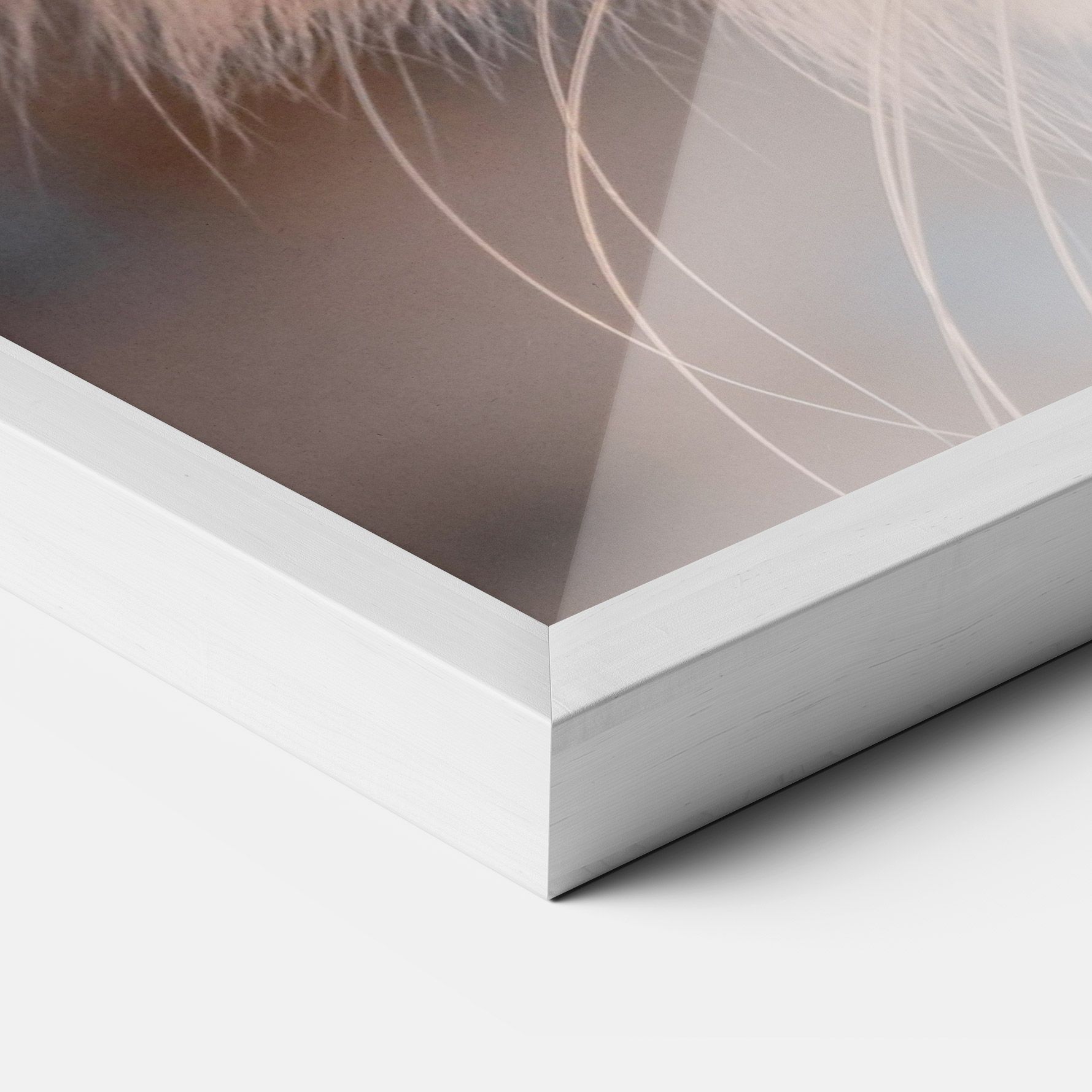 Cat Eye In Sun mockup 3