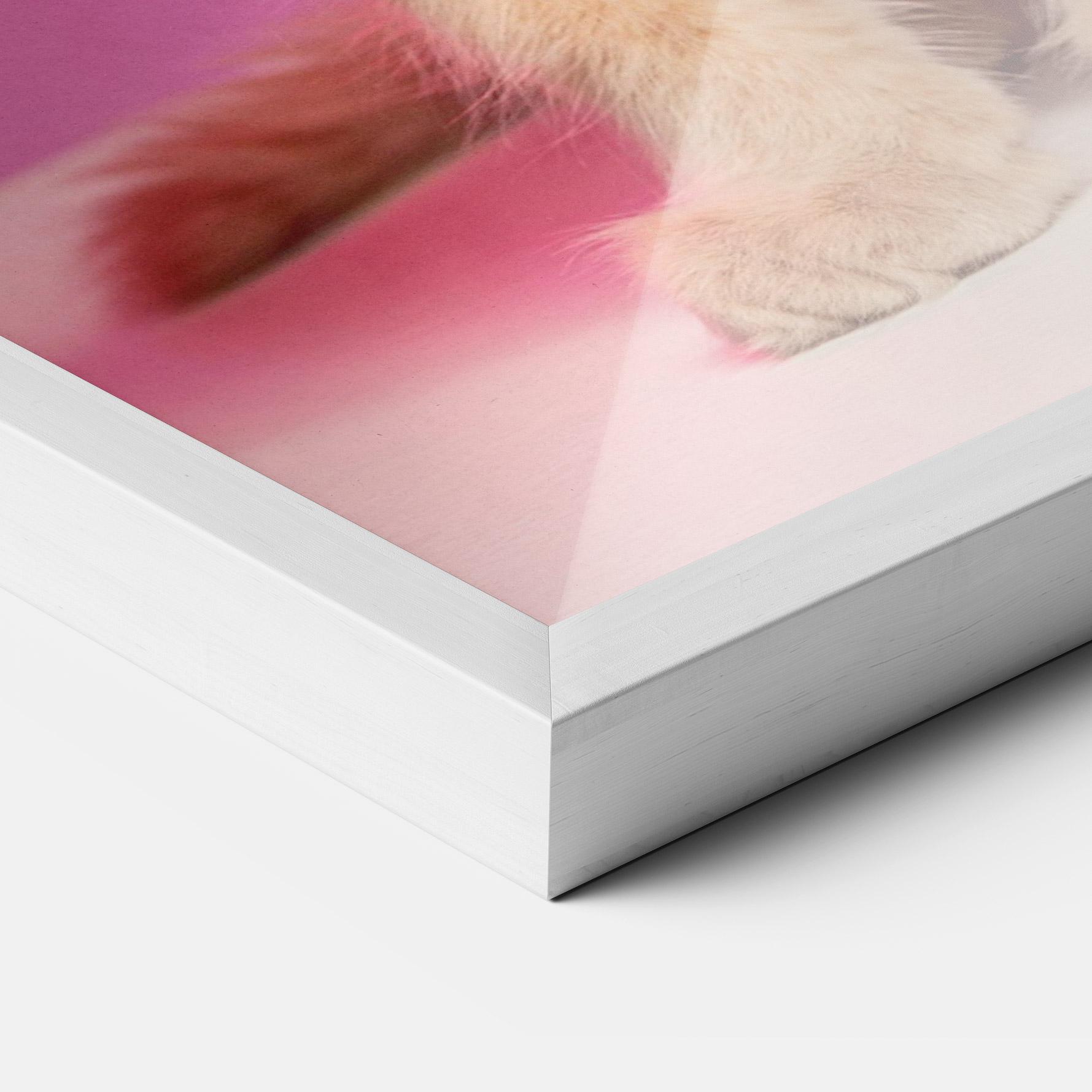Poster Înrămat Orange Cat On Pink mockup 3