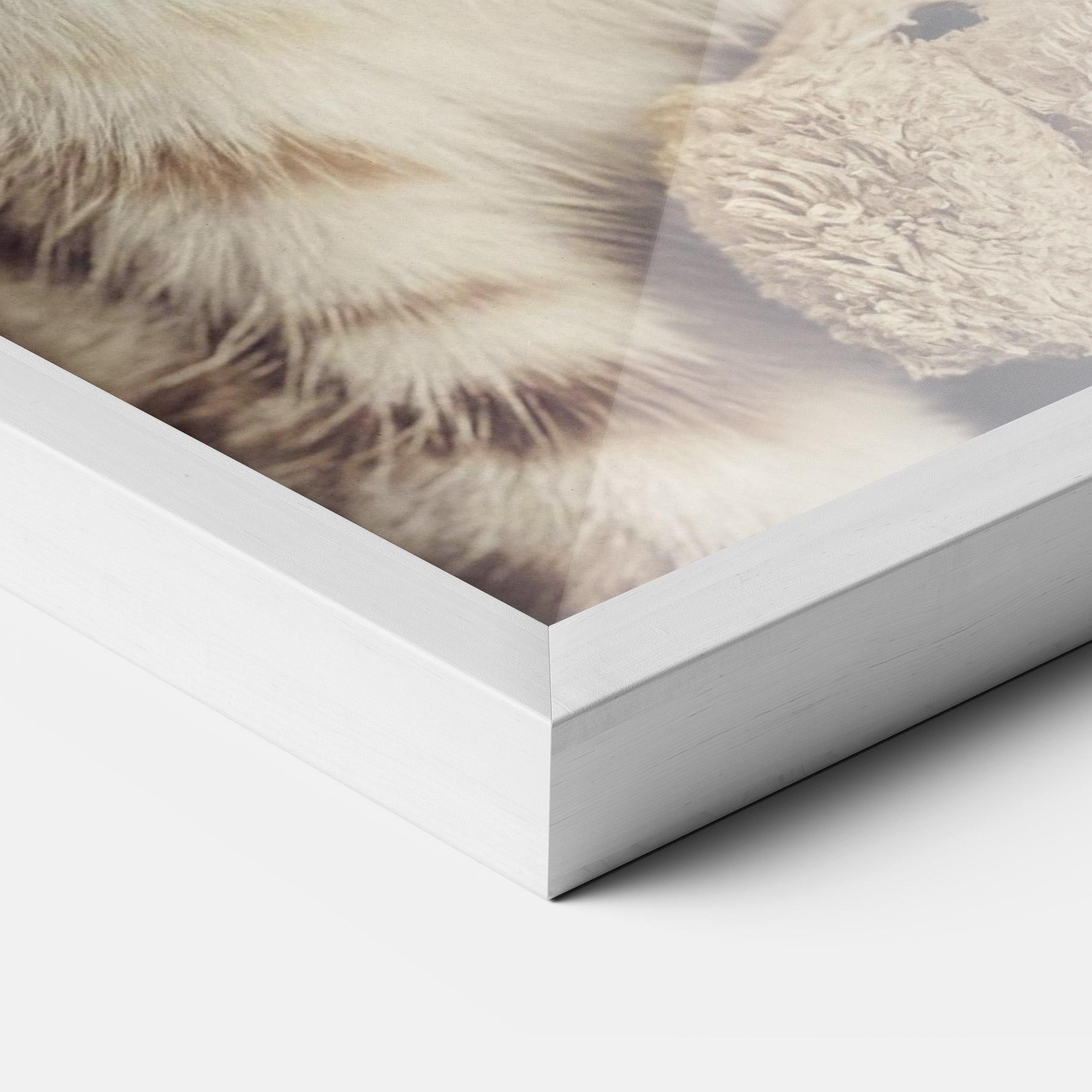 Poster Înrămat Pretty Blue Eyes Cat mockup 3