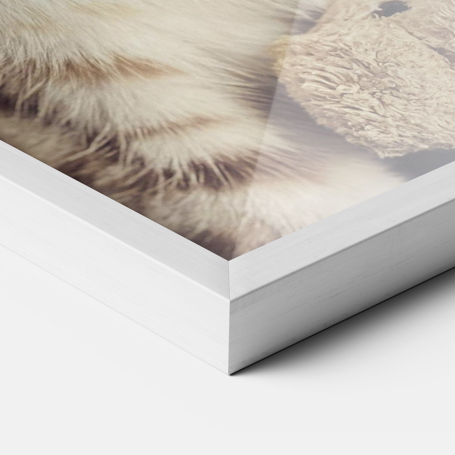 Pretty Blue Eyes Cat mockup 3