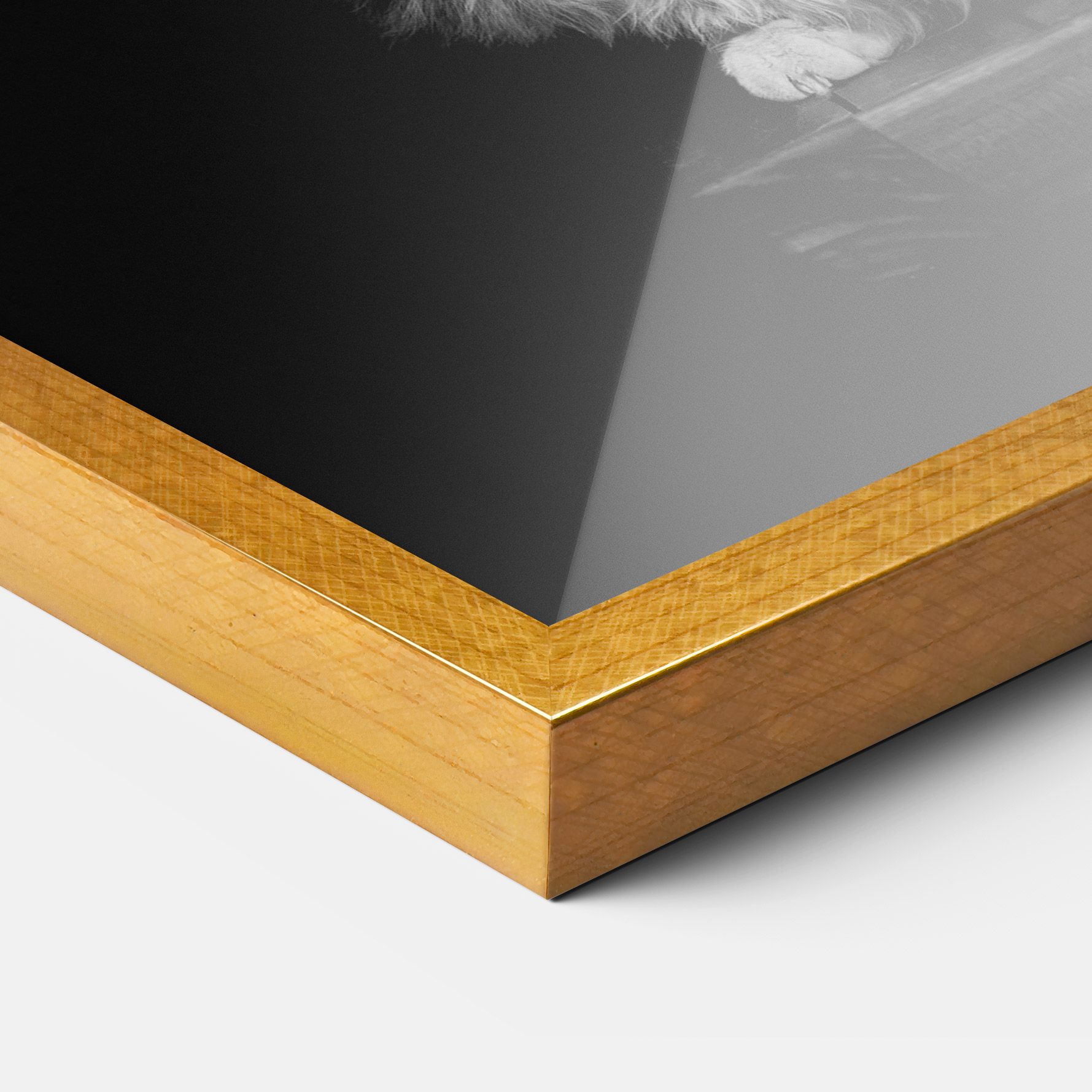 Big Fluffy Cat mockup 3