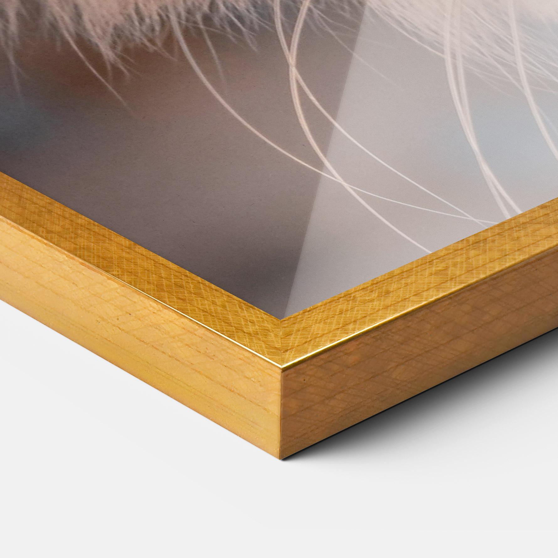 Poster Înrămat Cat Eye In Sun mockup 3