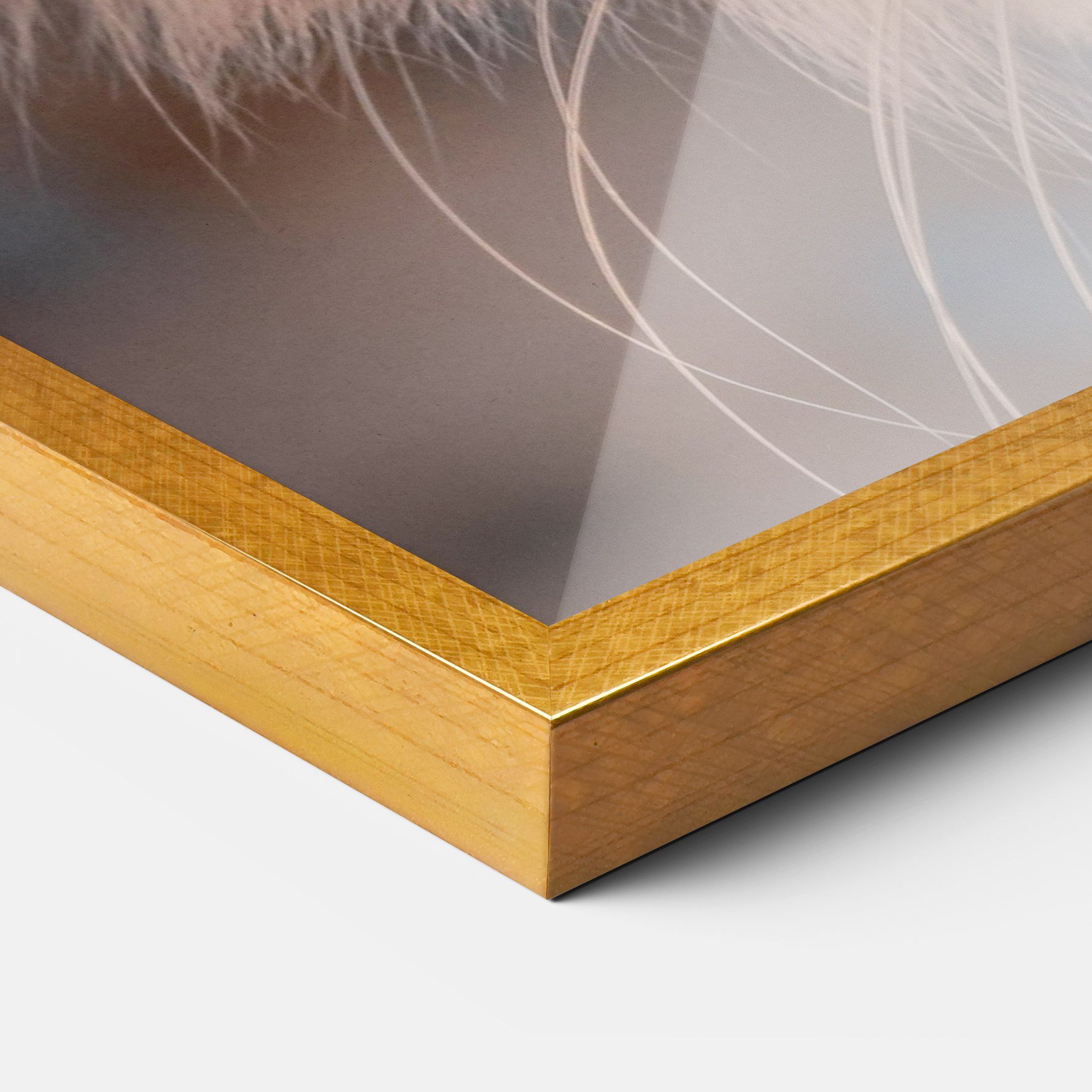 Cat Eye In Sun mockup 3