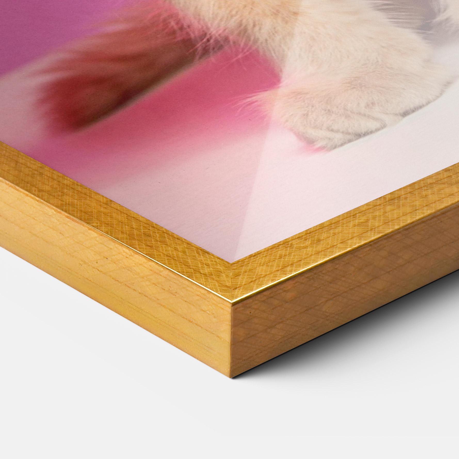 Poster Înrămat Orange Cat On Pink mockup 3