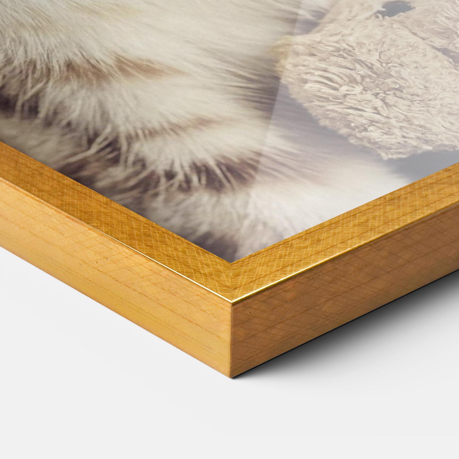 Poster Înrămat Pretty Blue Eyes Cat mockup 3