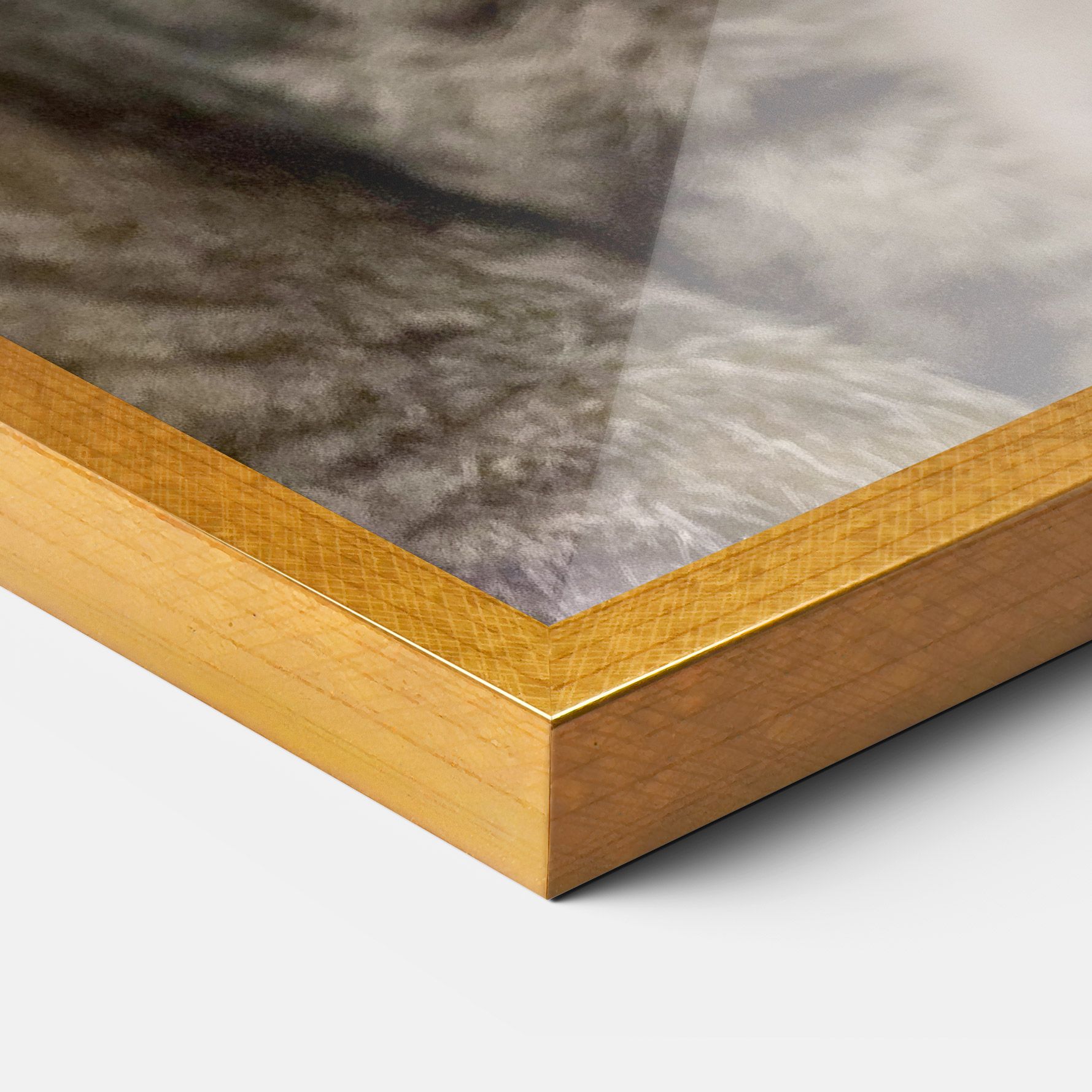 Yellow Eyes Cat mockup 3